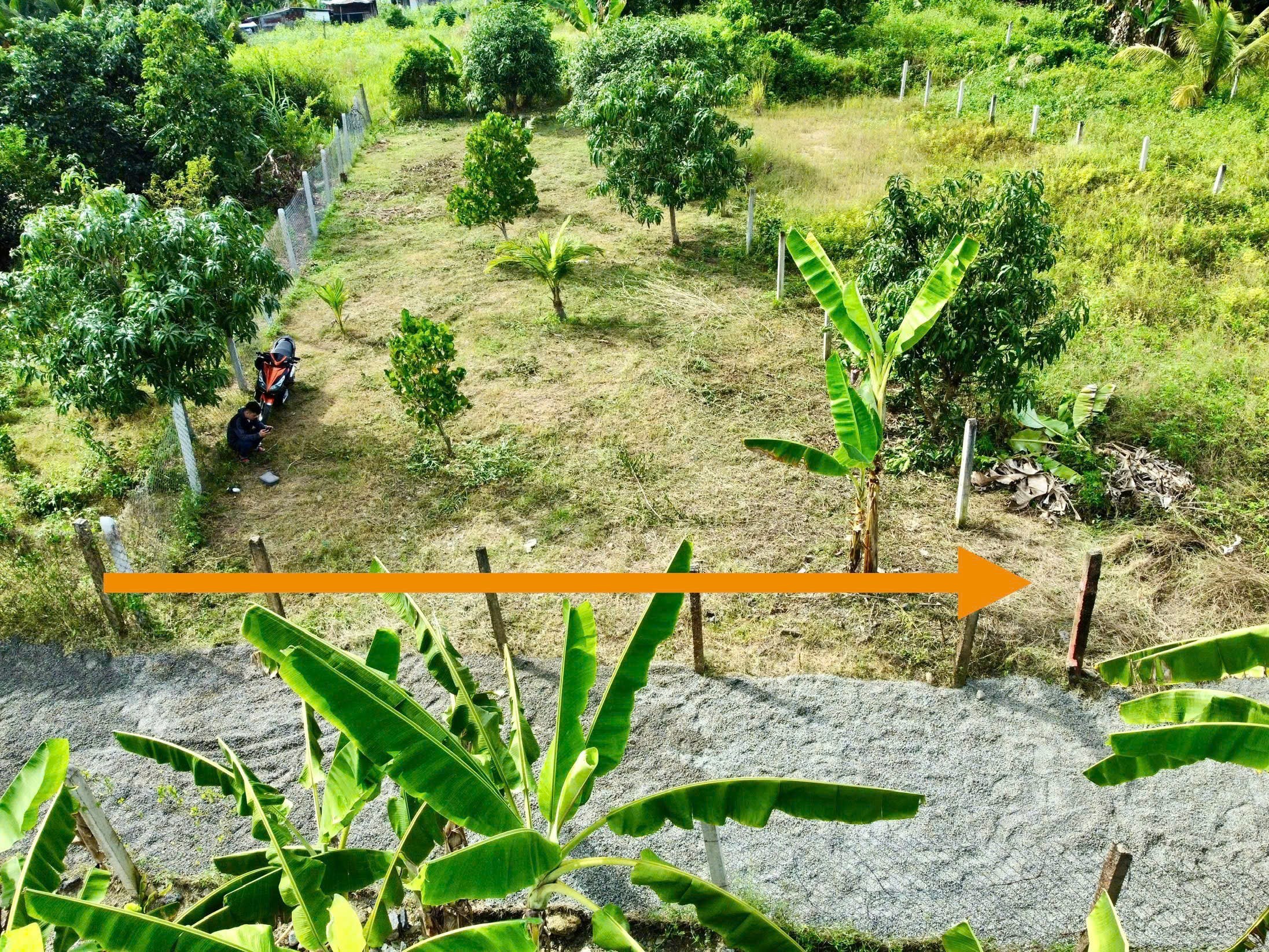 Bán đất Diên Tân giá rẻ ngay trung tâm xã - sau lưng chợ đi vào 6