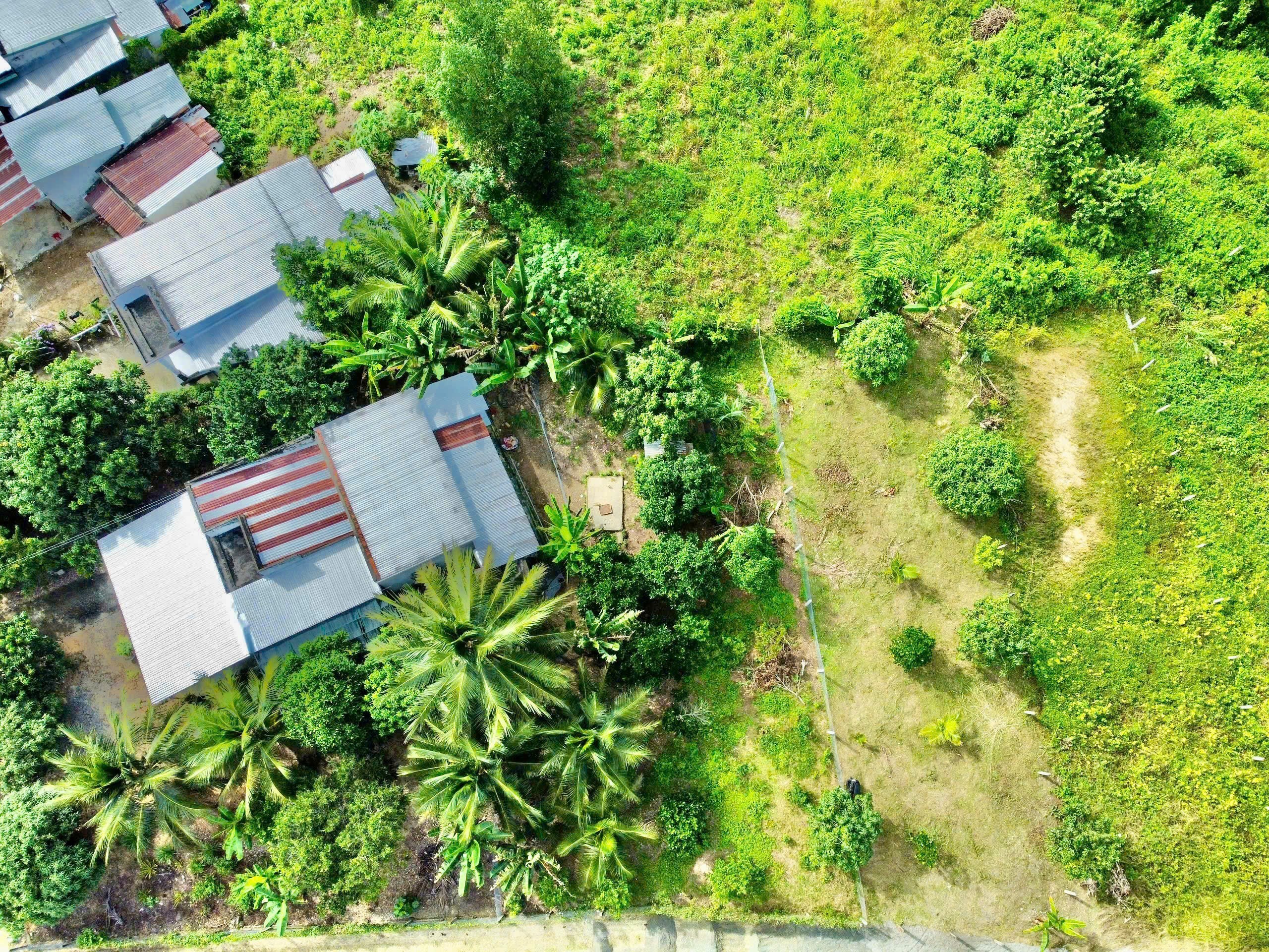 Bán đất Diên Tân giá rẻ ngay trung tâm xã - sau lưng chợ đi vào 11