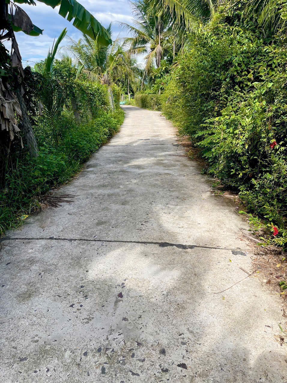 Bán đất Diên Phước giá rẻ đường oto thông - dân cư đông 2