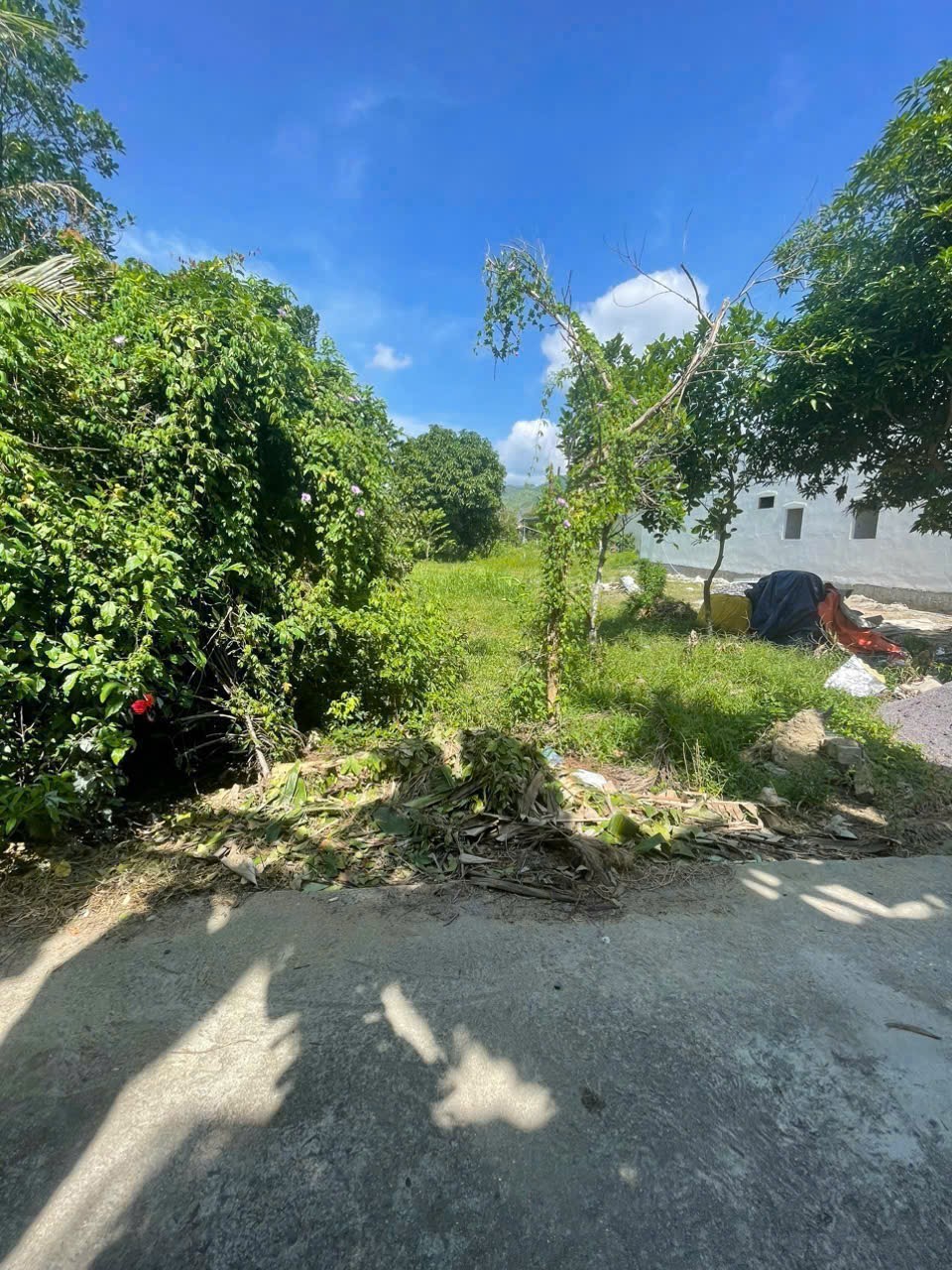 Bán đất Diên Phước giá rẻ đường oto thông - dân cư đông 3