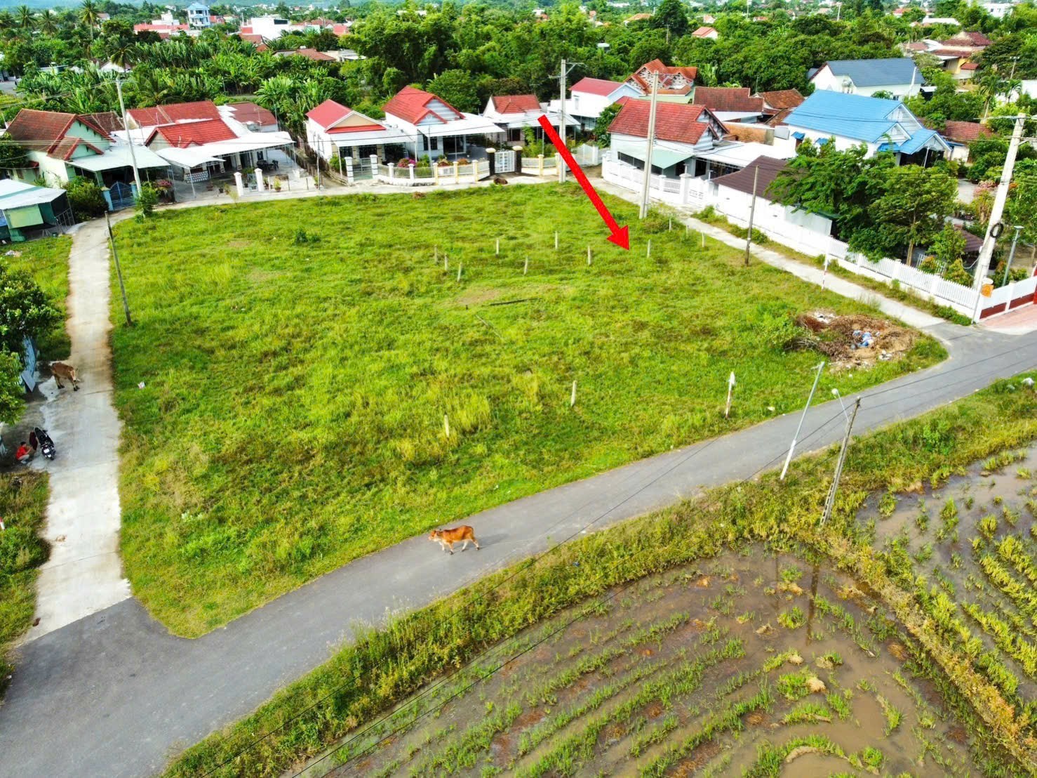 Bán đất Diên Hoà thôn Bình Khánh đường thông gần Hương Lộ 39