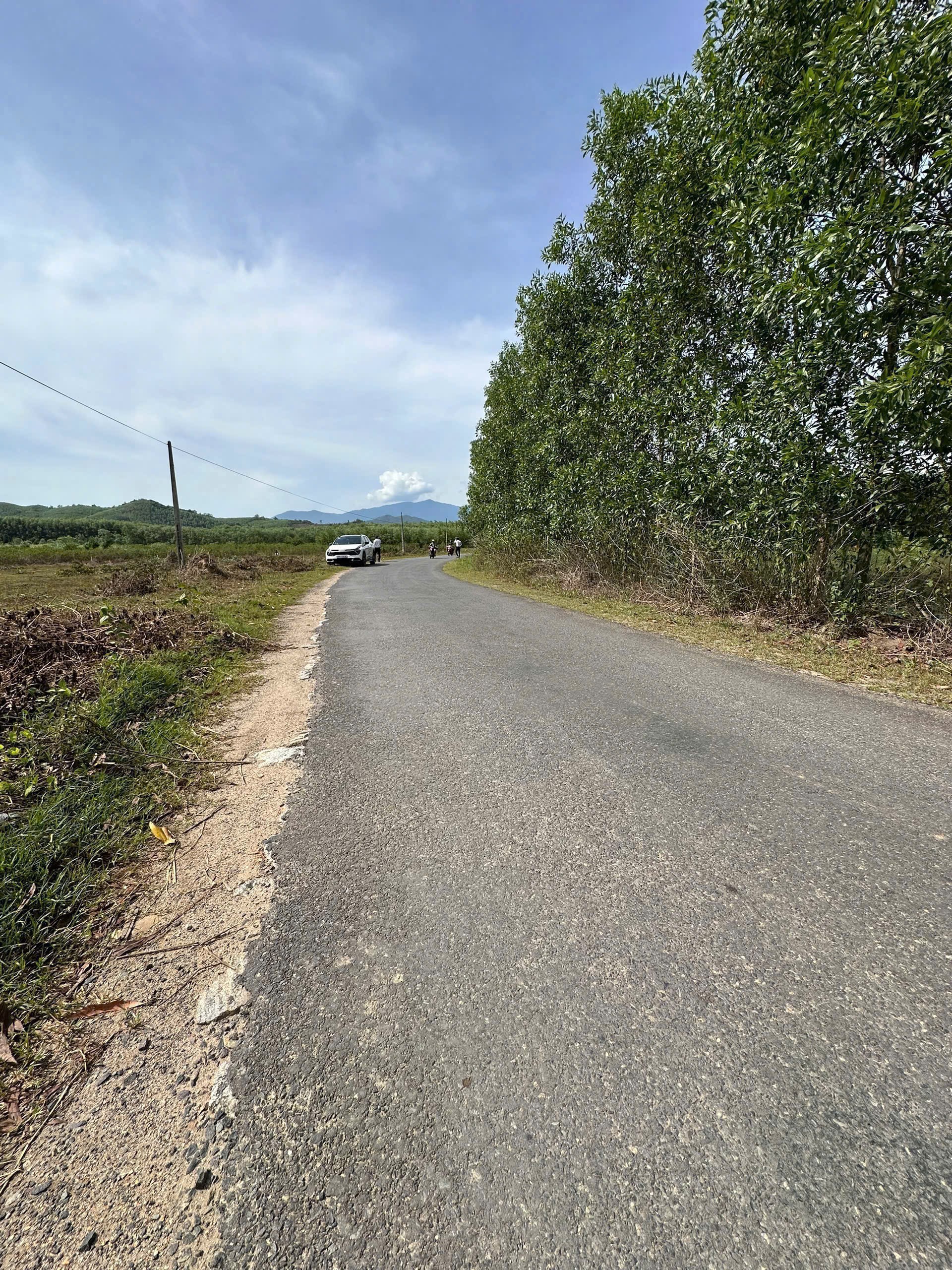 Bán đất vườn Diên Đồng mặt tiền đường nhựa liên xã - ngang bám đường gần 100m 3