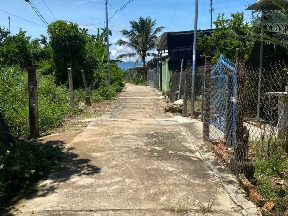 Bán đất Sông Cầu thôn Đông ngay trung tâm xã - đường thông 3 mặt tiền đường thoáng mát