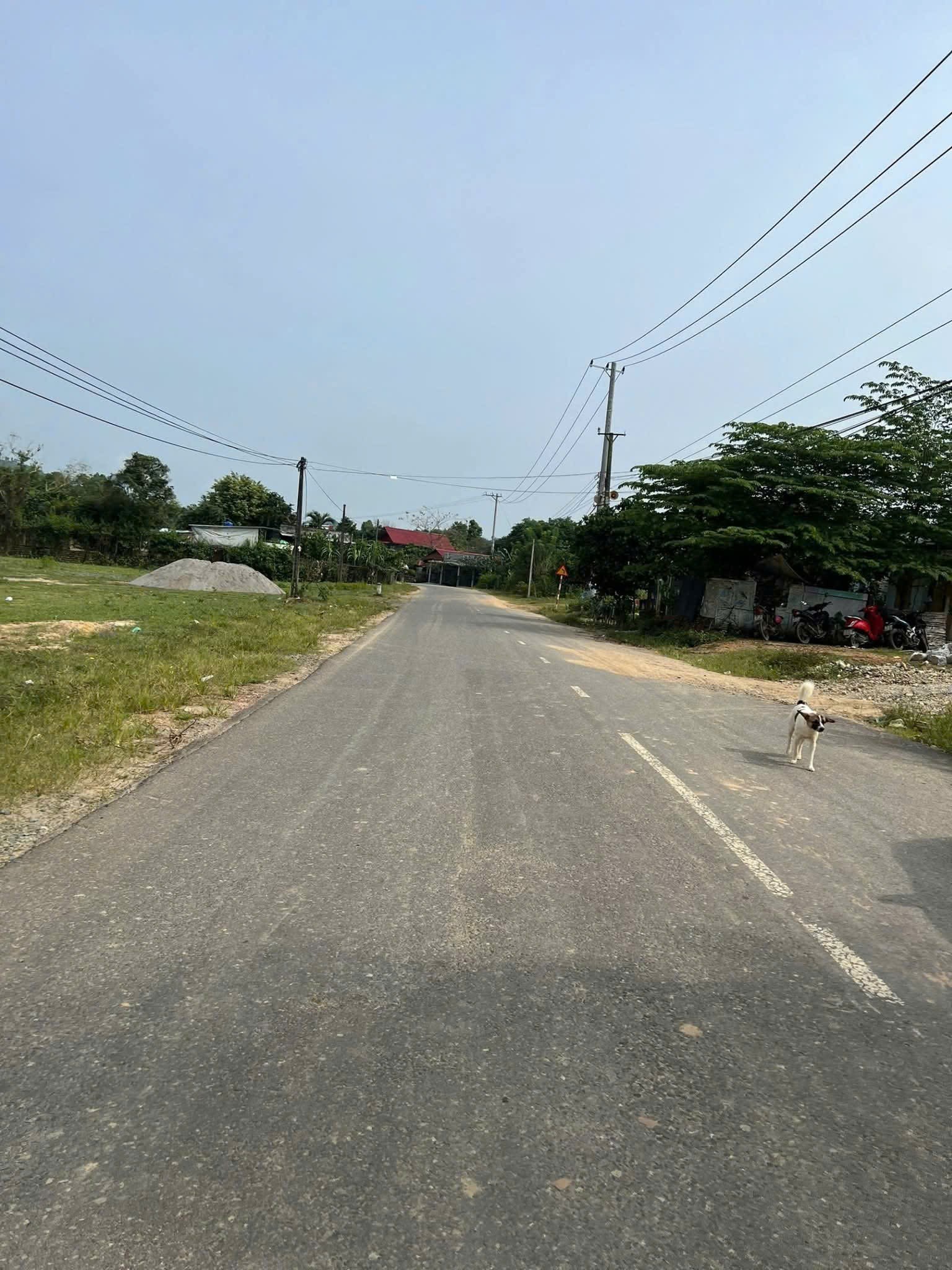 Bán đất Khánh Phú mặt tiền đường nhựa Yangbay - thế đất lưng tựa núi cực vượng phong thủy 2