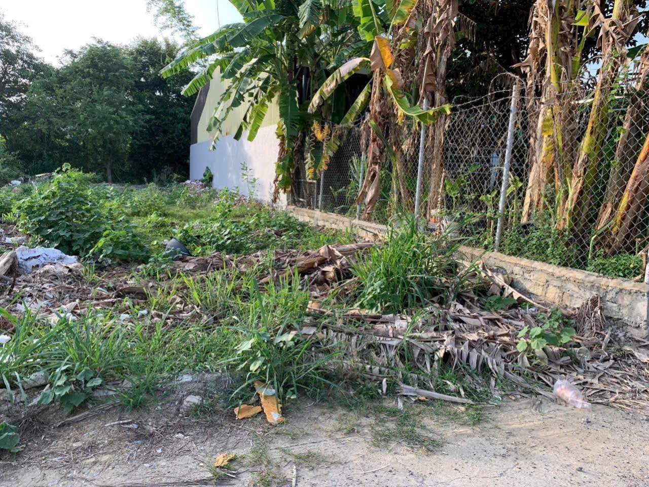 Bán đất Vĩnh Phương giá rẻ thôn Đắc Lộc hẻm đường Đất Phú - đường thông