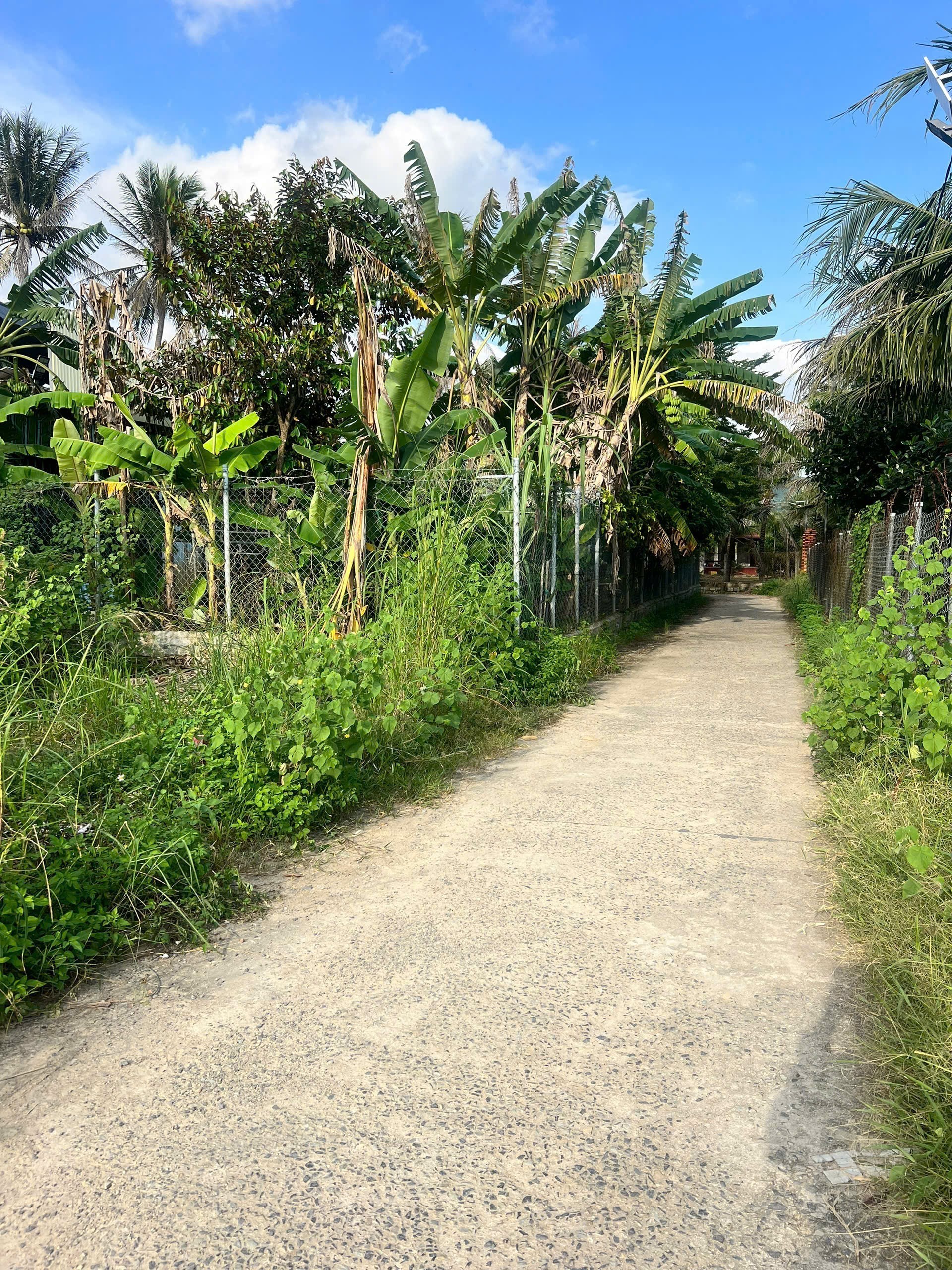 Bán đất Vĩnh Phương giá rẻ thôn Đắc Lộc hẻm đường Đất Phú - đường thông 3