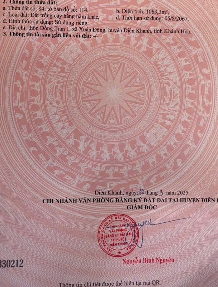 Bán đất Diên Đồng full thổ thôn Đồng Trăn 1 mặt tiền đường liên thôn QH 24m 6