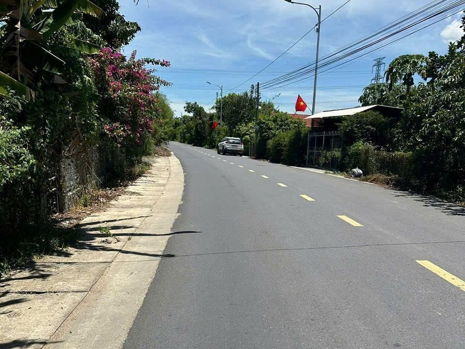 Bán đất mặt tiền Hương Lộ 39 - Diên Lâm - dân cư đông an ninh