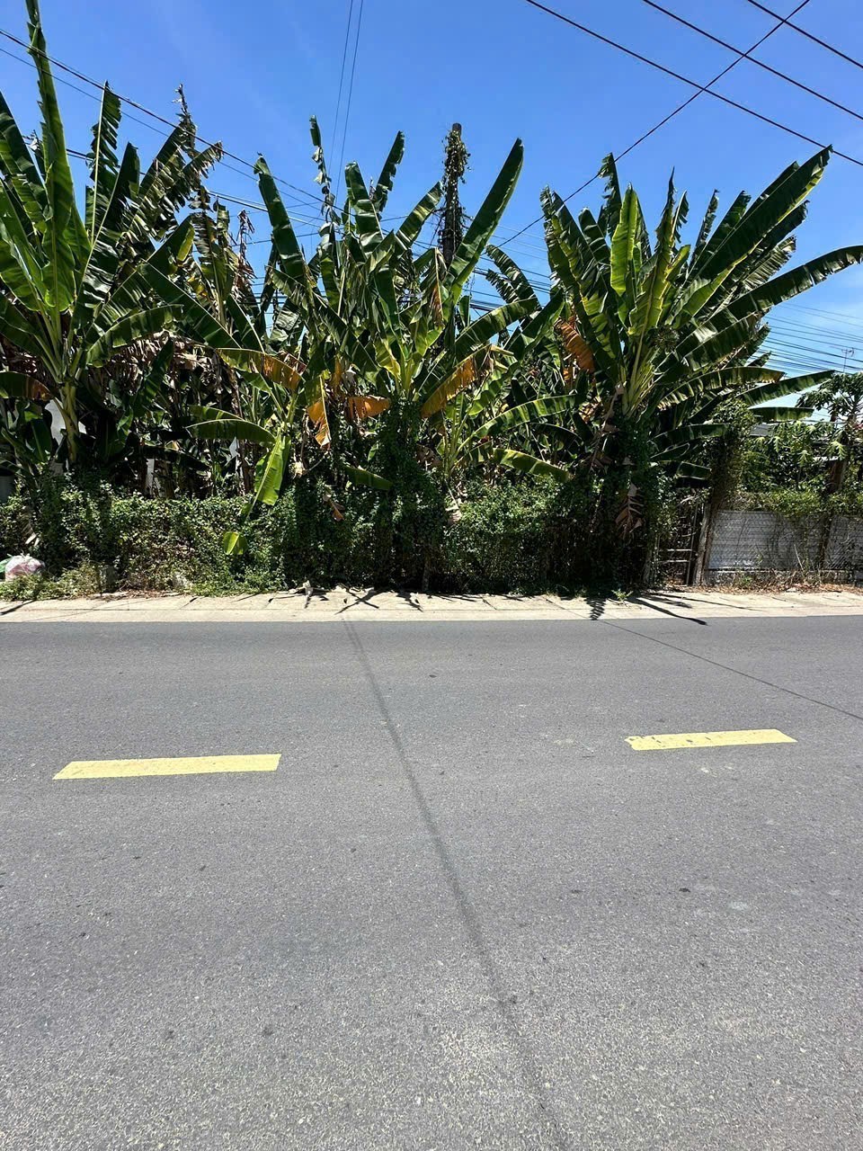 Bán đất mặt tiền Hương Lộ 39 - Diên Lâm - dân cư đông an ninh 3