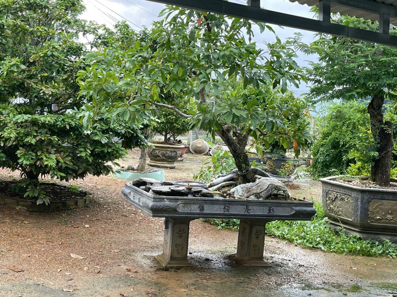 Bán nhà vườn Diên Đồng ngay trung tâm khu dân cư thôn 2 - gần trường học Uỷ ban 5