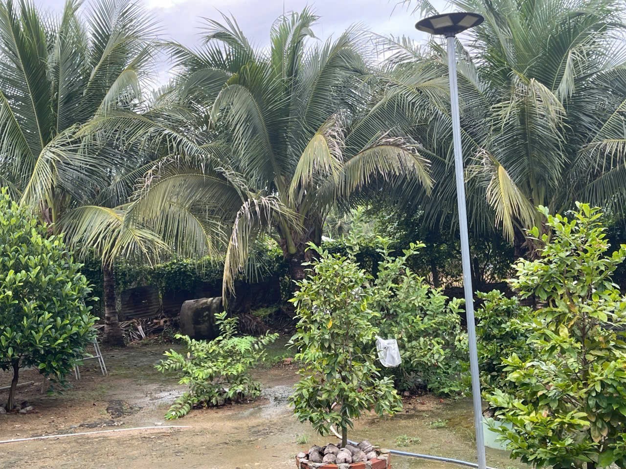 Bán nhà vườn Diên Đồng ngay trung tâm khu dân cư thôn 2 - gần trường học Uỷ ban 9