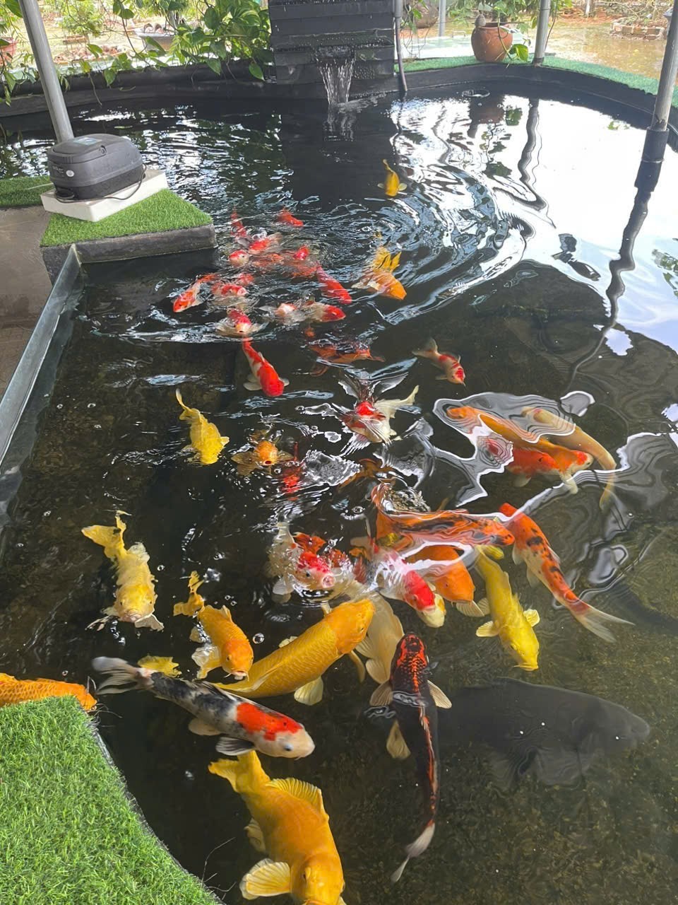 Bán nhà vườn Diên Đồng ngay trung tâm khu dân cư thôn 2 - gần trường học Uỷ ban 4