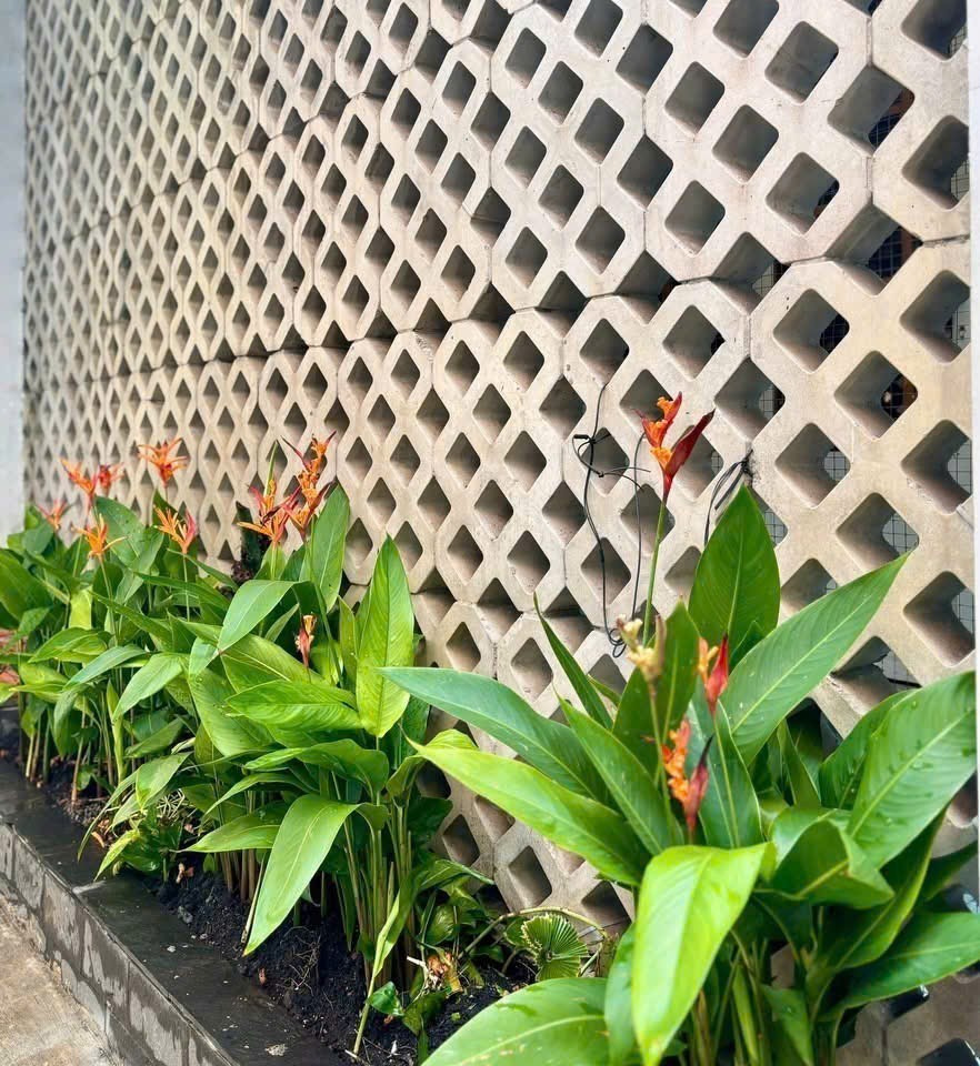 PHÚ NHUẬN - 80m2 - 12.2 TỶ - NGANG KHỦNG 6.1m - ĐANG CHO CTY THUÊ DÒNG TIỀN ỔN ĐỊNH 7