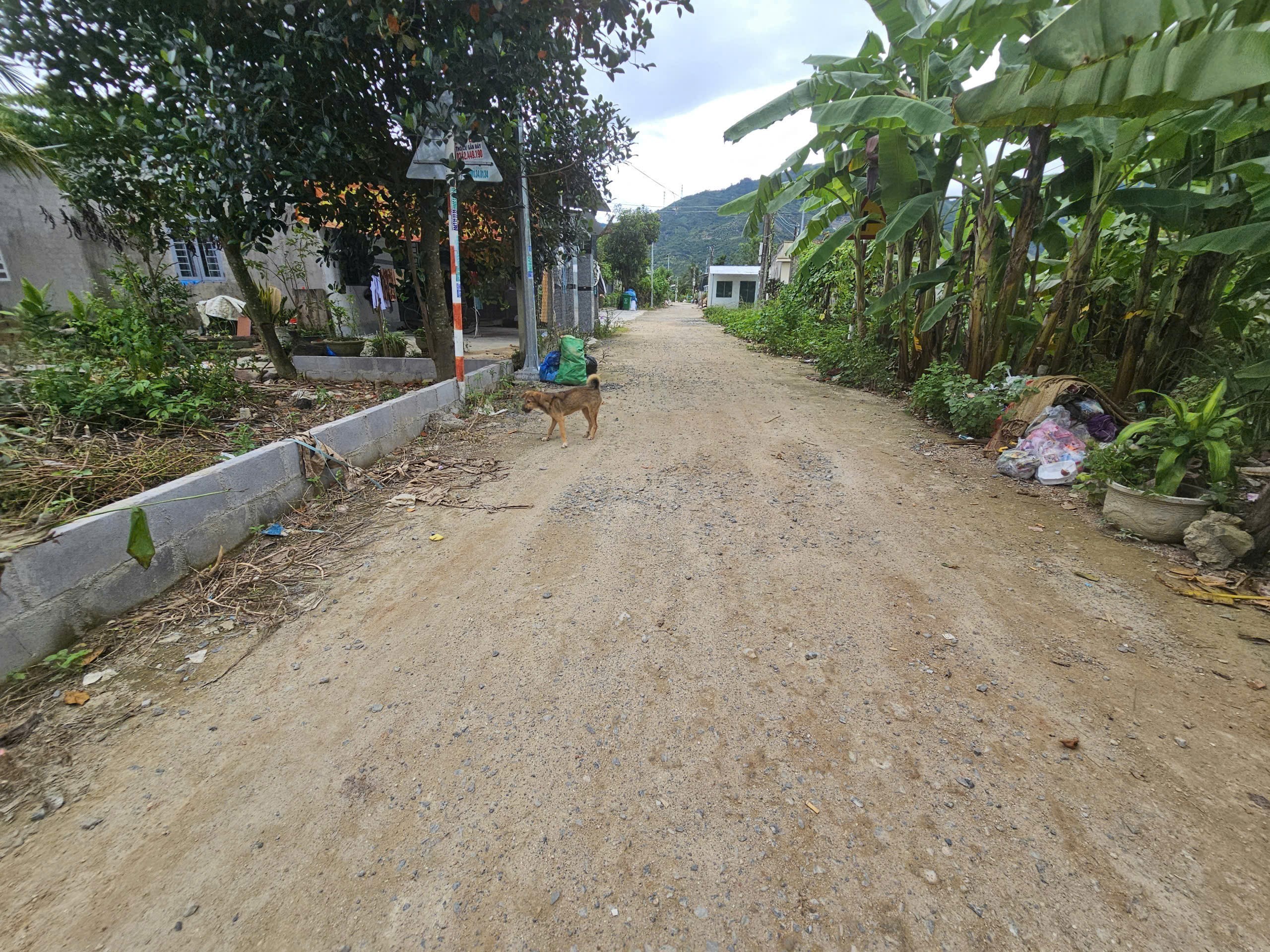 Bán đất Suối Cát - Cam Lâm full thổ cư sát bên Tỉnh Lộ 3 điểm xuống cao tốc Bắc Nam 2