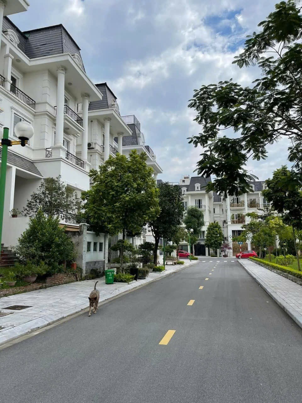 Bán biệt thự Lideco vị trí sát công viên cây xanh - diện tích 162m2 - giá đáng đầu tư 2