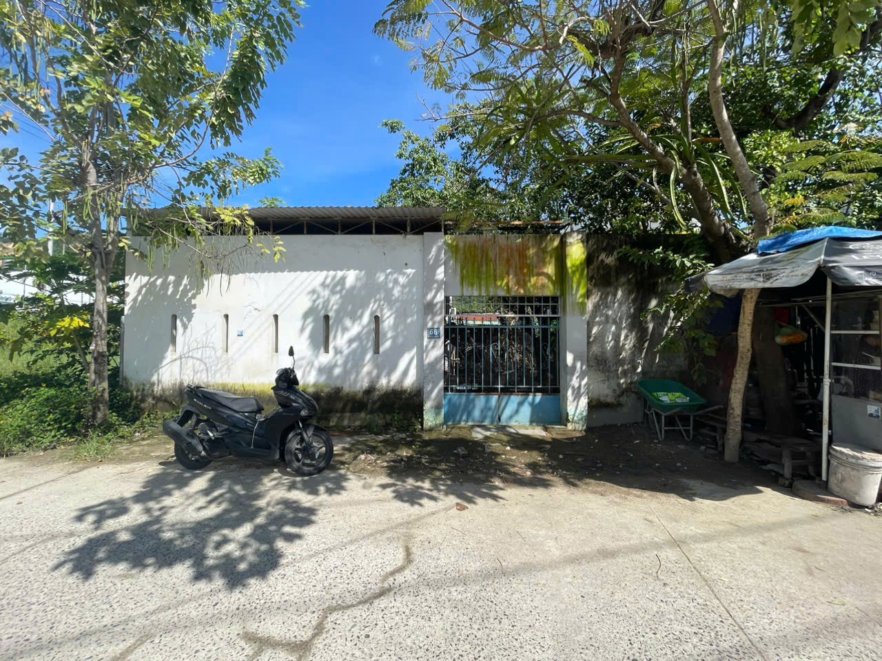 Bán Đất Mặt Tiền Phong Châu, 247m², Hướng Nam, Đường 20m – Giá Tốt 3