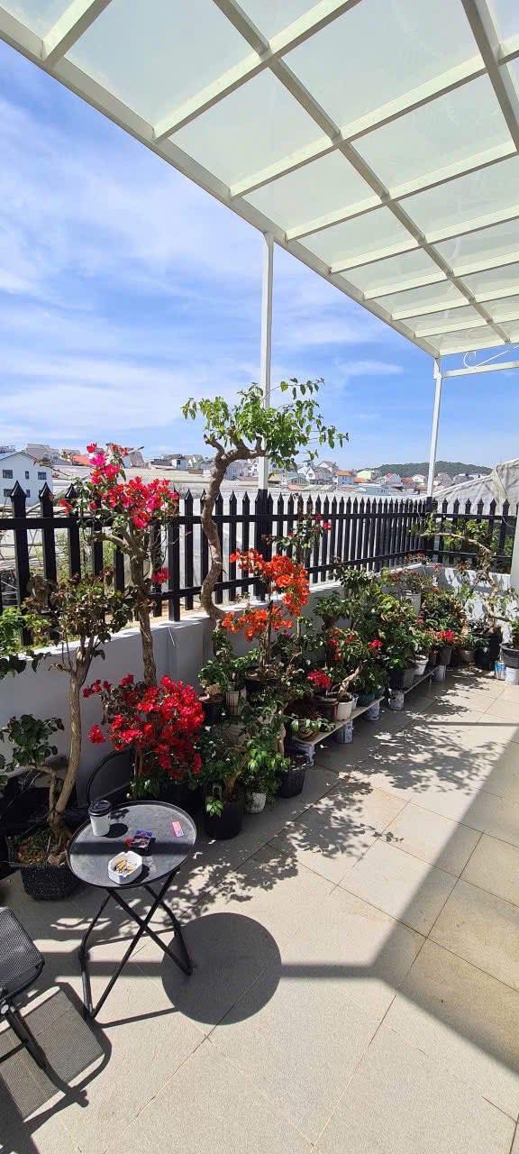 Cần Bán Gấp Nhà Đẹp Đường Nguyễn Hữu Cầu, Đà Lạt 126m2 Giá 4.5 Tỷ 4