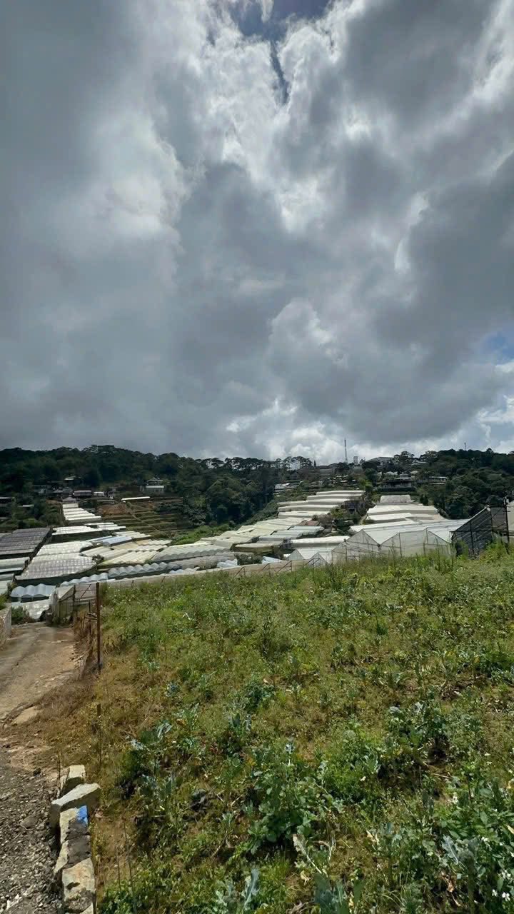 Cần Tiền Bán Đất XD Đà Lạt View Thoáng Đường Trịnh Hoài Đức, Đà Lạt 103m2 Giá 3.9 Tỷ 2