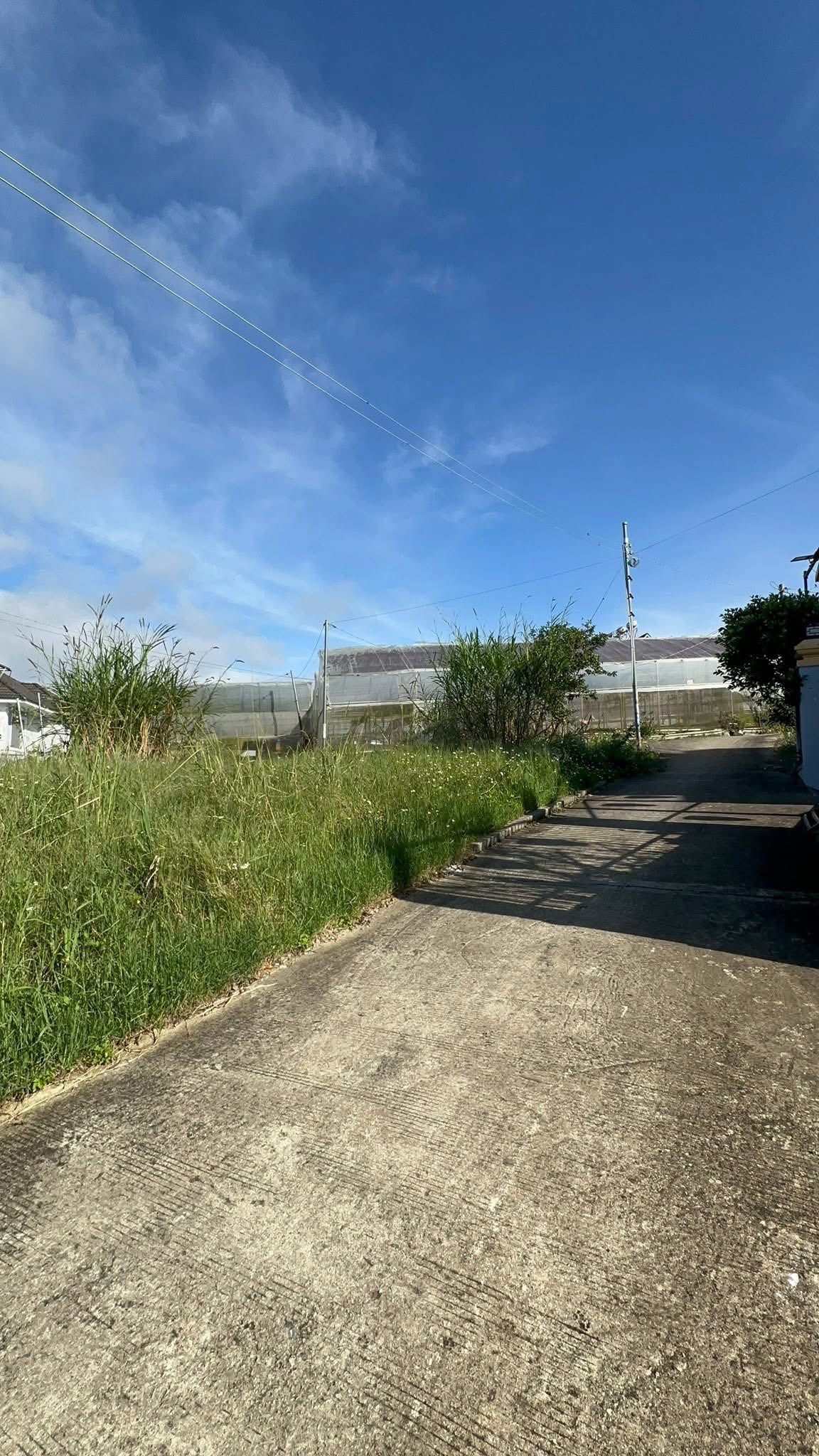 Cần Bán Lô Đất Nền Biệt Thự View Đẹp Đường Trịnh Hoài Đức, P.Xuân Trường – Đà Lạt 256m2 3