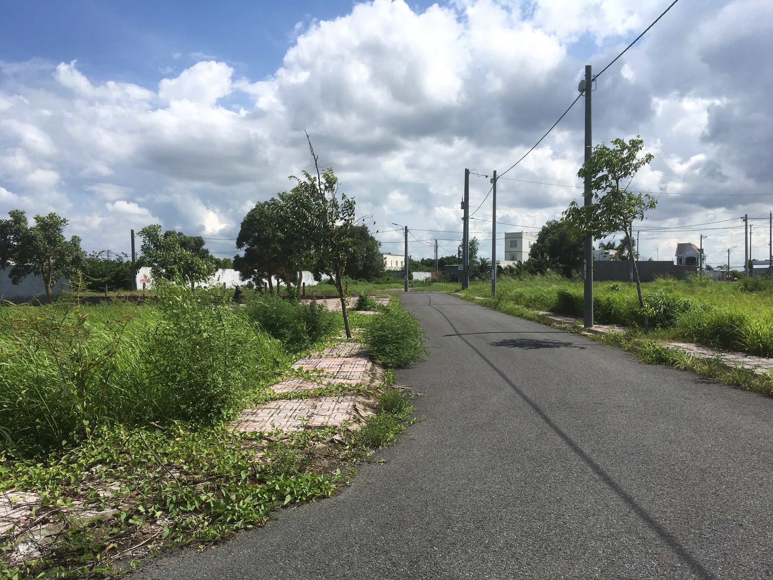 Đất nền 85m2 kdc Nam Phong Ecotown giá đầu tư 790tr 3