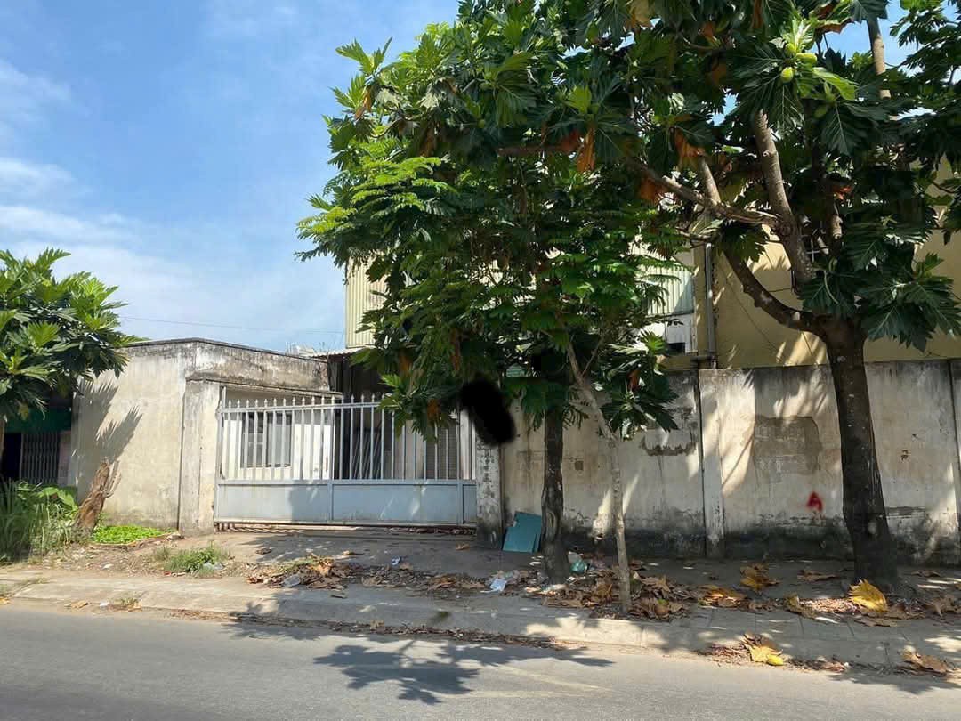 BDS dòng tiền (10 x 30) Mặt Tiền Đặng Thúc Vịnh, Thới Tam Thôn, Hóc Môn 3