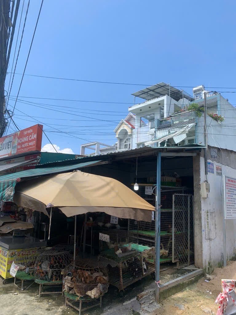 NHÀ MBKD (6x35) MẶT TIỀN TRỊNH THỊ MIẾNG, THỚI TAM THÔN, HÓC MÔN 4