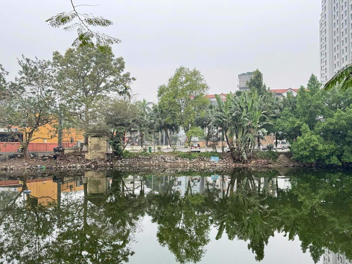 CHỈ 326 TRIỆU/M CÓ NGAY ĐẤT TÔ NGỌC VÂN 202M MT 9M Ô TÔ VÀO ĐẤT GIÁ 66 TỶ 0878168006 4