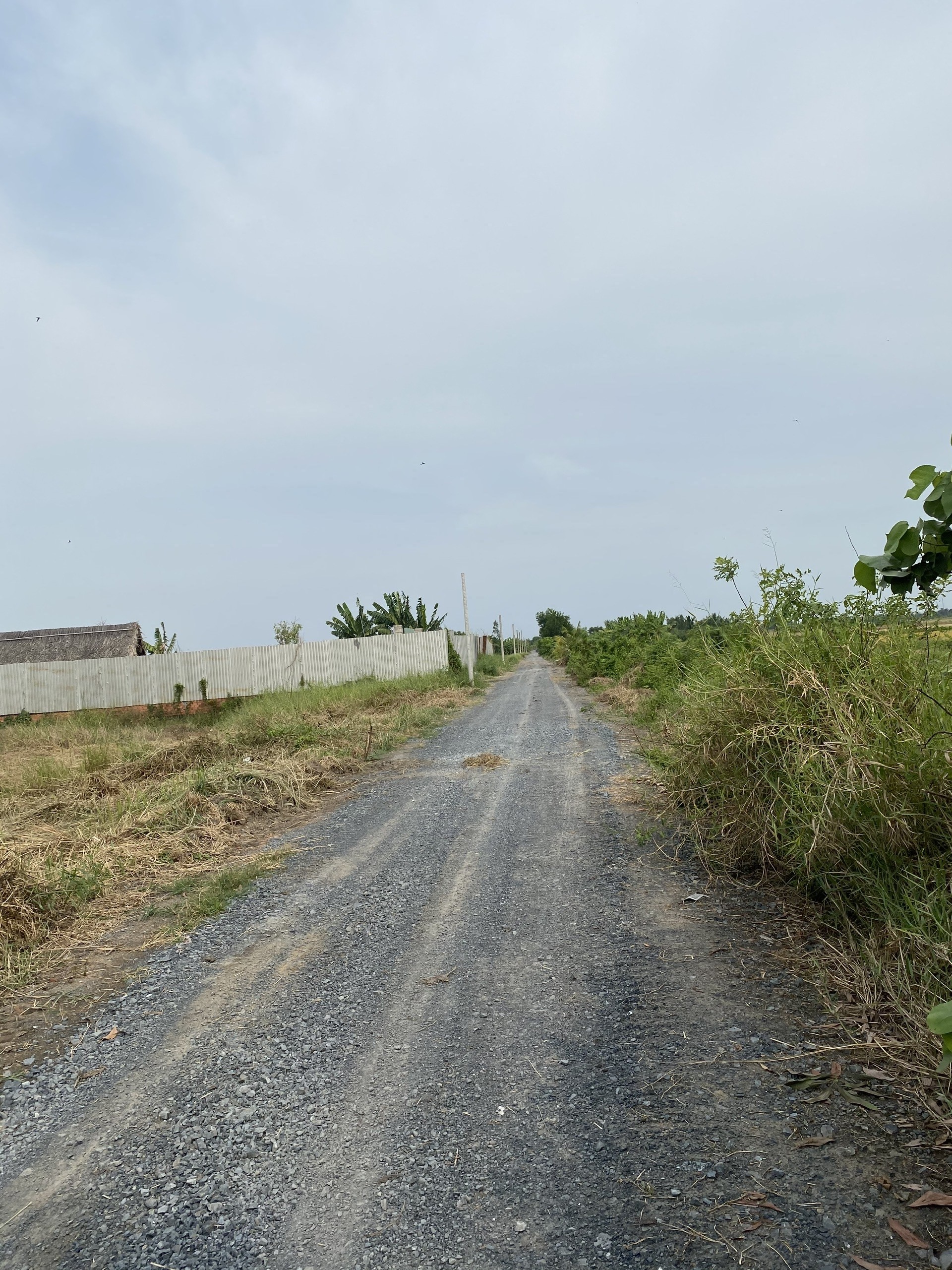 Bán Đất Xã Lê Minh Xuân, Bình Chánh, Diện tích 3000m², Giá 3 Triệu/m²