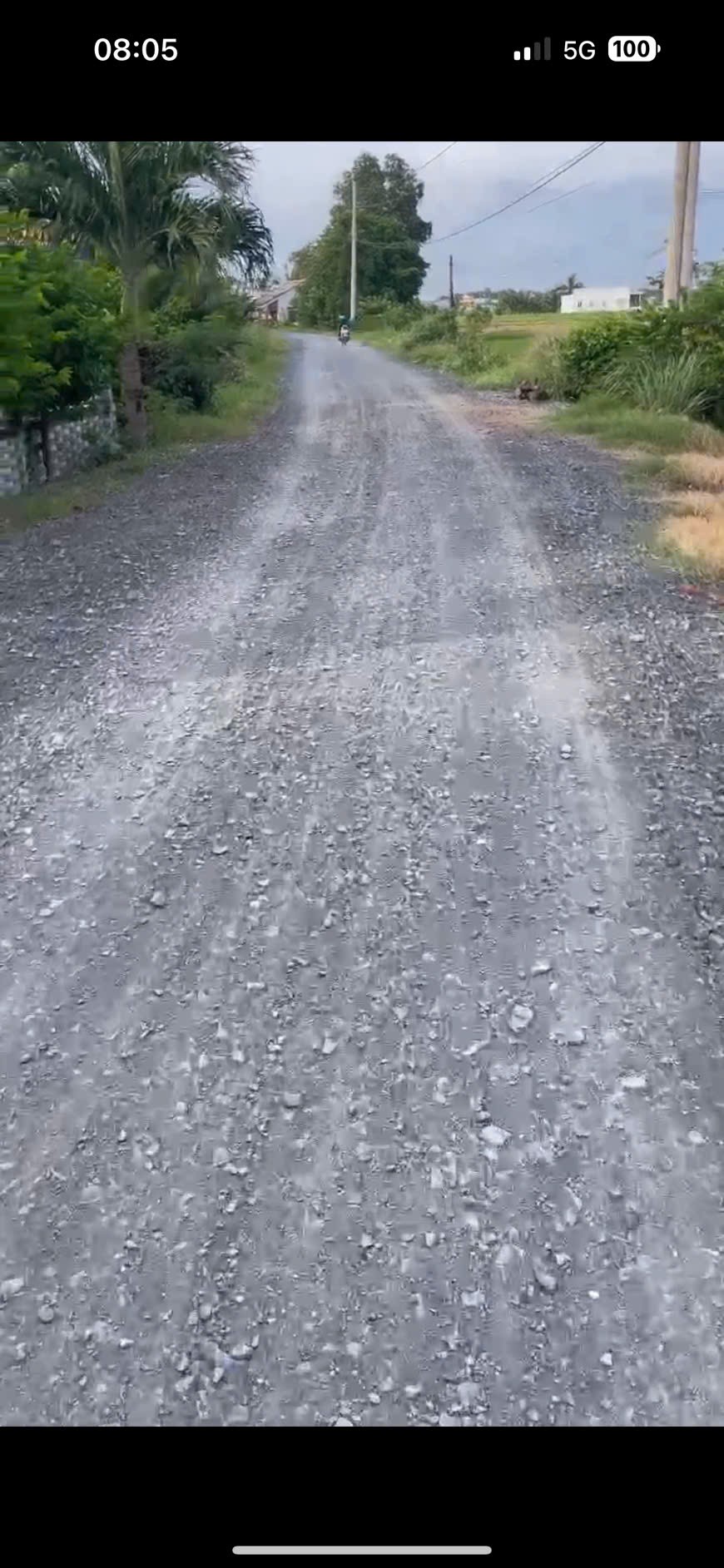 Chủ cần bán gấp 1367m2 đất vườn Óc Đảo Long Hựu giá rẻ 550tr hết sổ