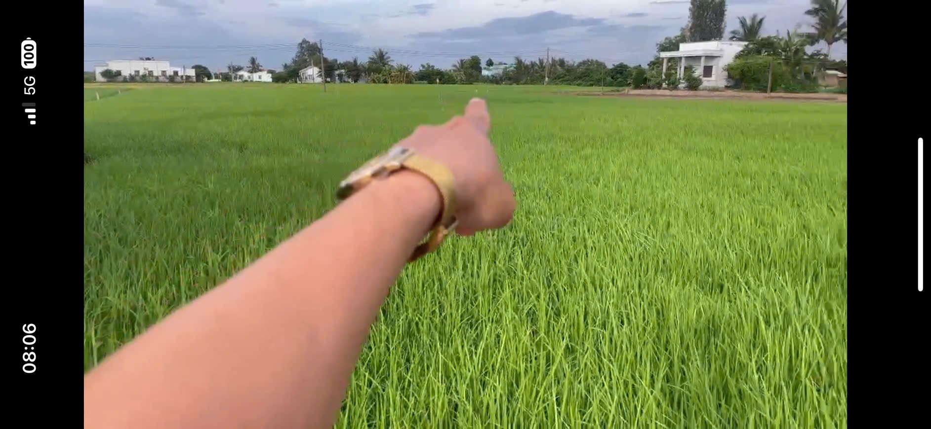 Chủ cần bán gấp 1367m2 đất vườn Óc Đảo Long Hựu giá rẻ 550tr hết sổ 2