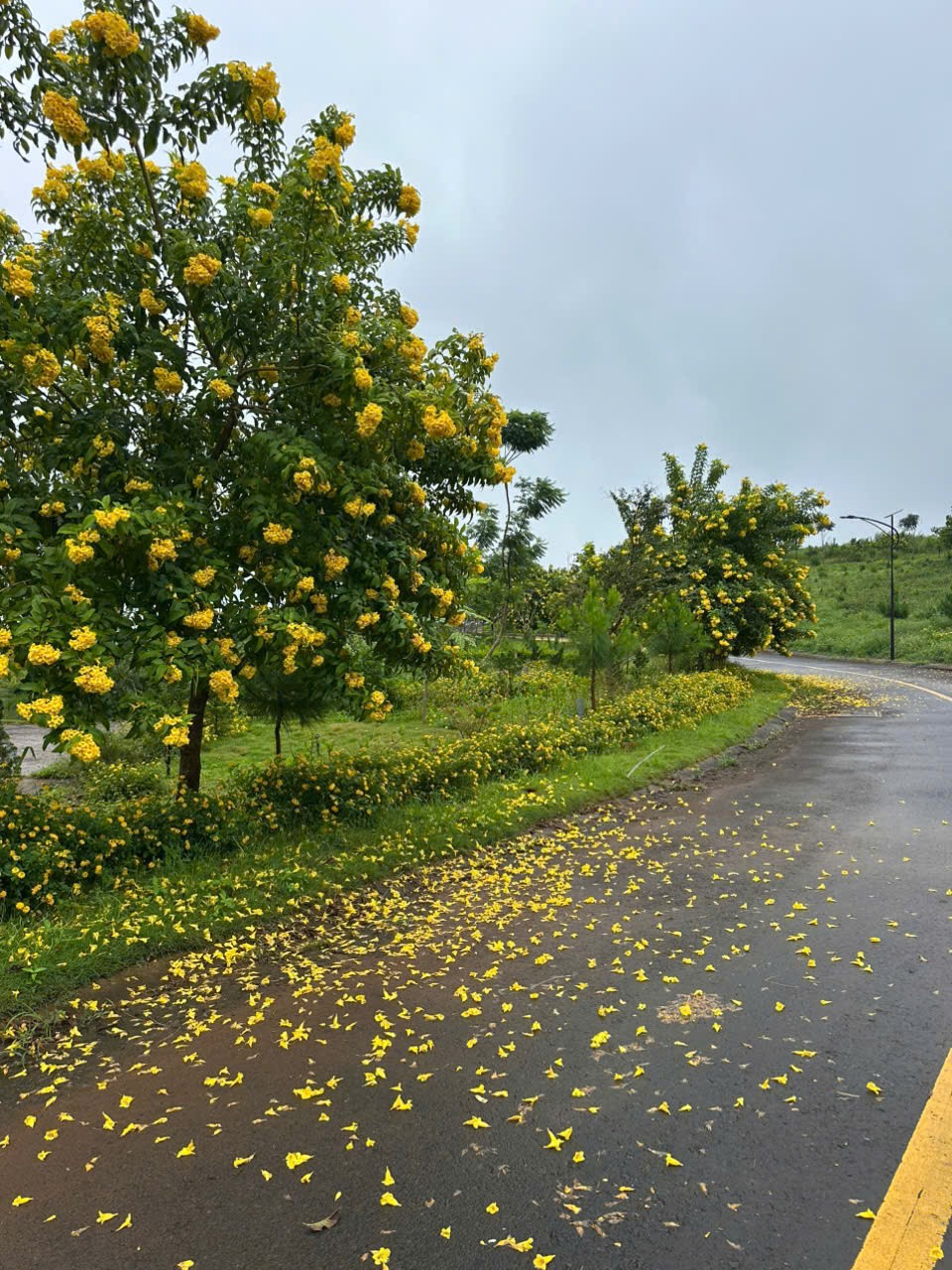 Không gian sống lý tưởng, giá trị bền vững cùng LA BEAUTE 1 2