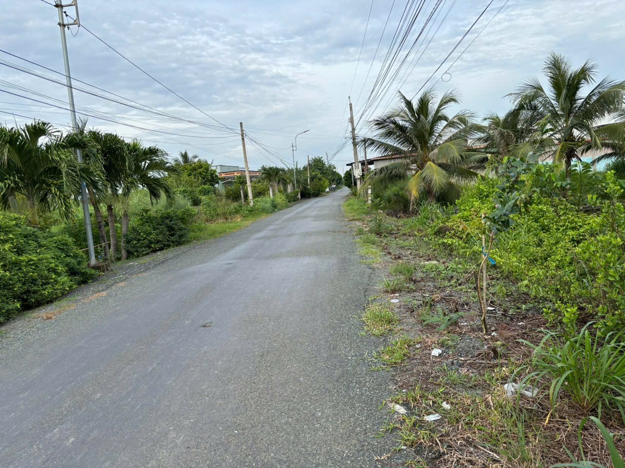 Mua đất tặng nhà cấp 4 mt đường nhựa 8m xã Long Hựu 256m2 giá rẻ 950tr 2