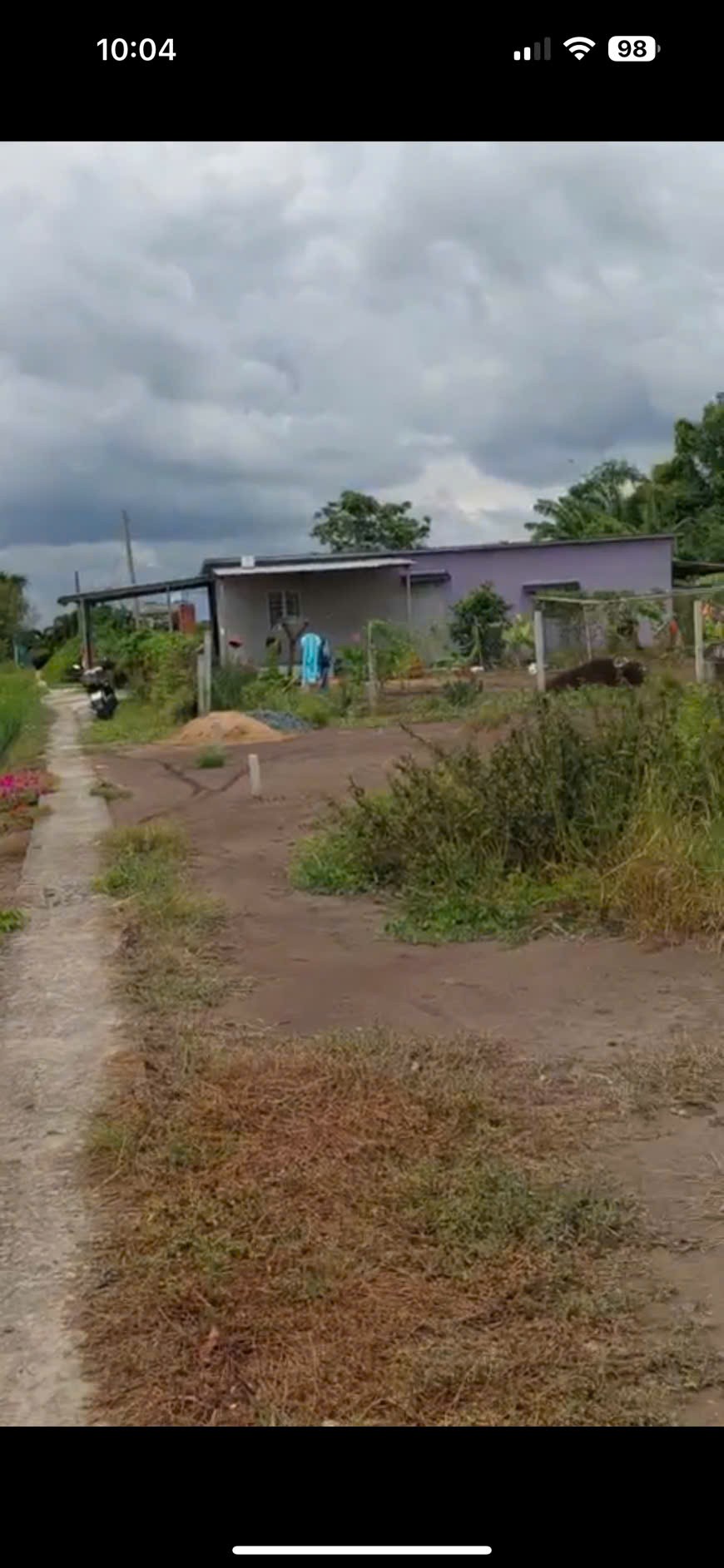 Đất thổ lúa 1000m2 đường xe máy xã Tân Lân giá rẻ đầu tư 1 tỏi 4