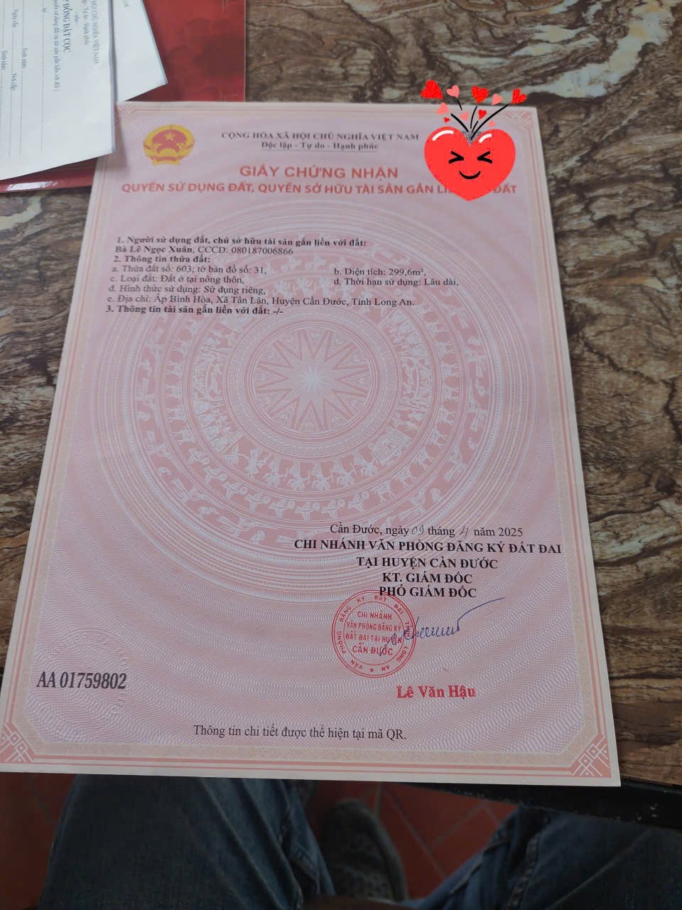 Đất thổ lúa 1000m2 đường xe máy xã Tân Lân giá rẻ đầu tư 1 tỏi 4 7