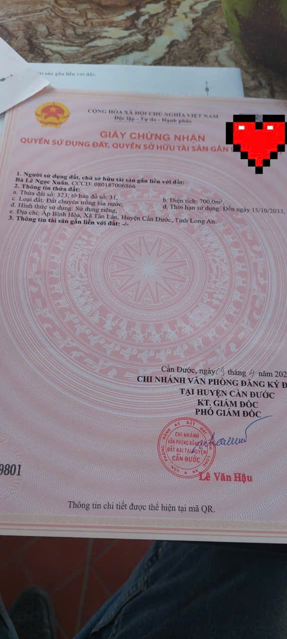 Đất thổ lúa 1000m2 đường xe máy xã Tân Lân giá rẻ đầu tư 1 tỏi 4 8