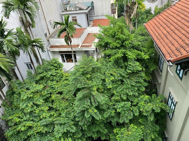 Cho thuê Căn hộ chung cư đường Đặng Thai Mai, Phường Quảng An, Diện tích 60m², Giá 15.6 Triệu/tháng 8