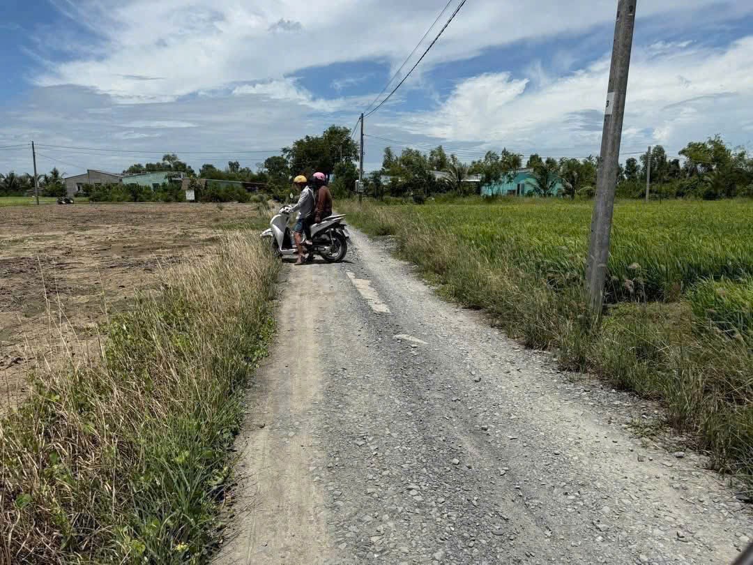 Đất nền thổ cư mt xe hơi xã Tân Lân 185m2 giá rẻ đầu tư 900tr 2