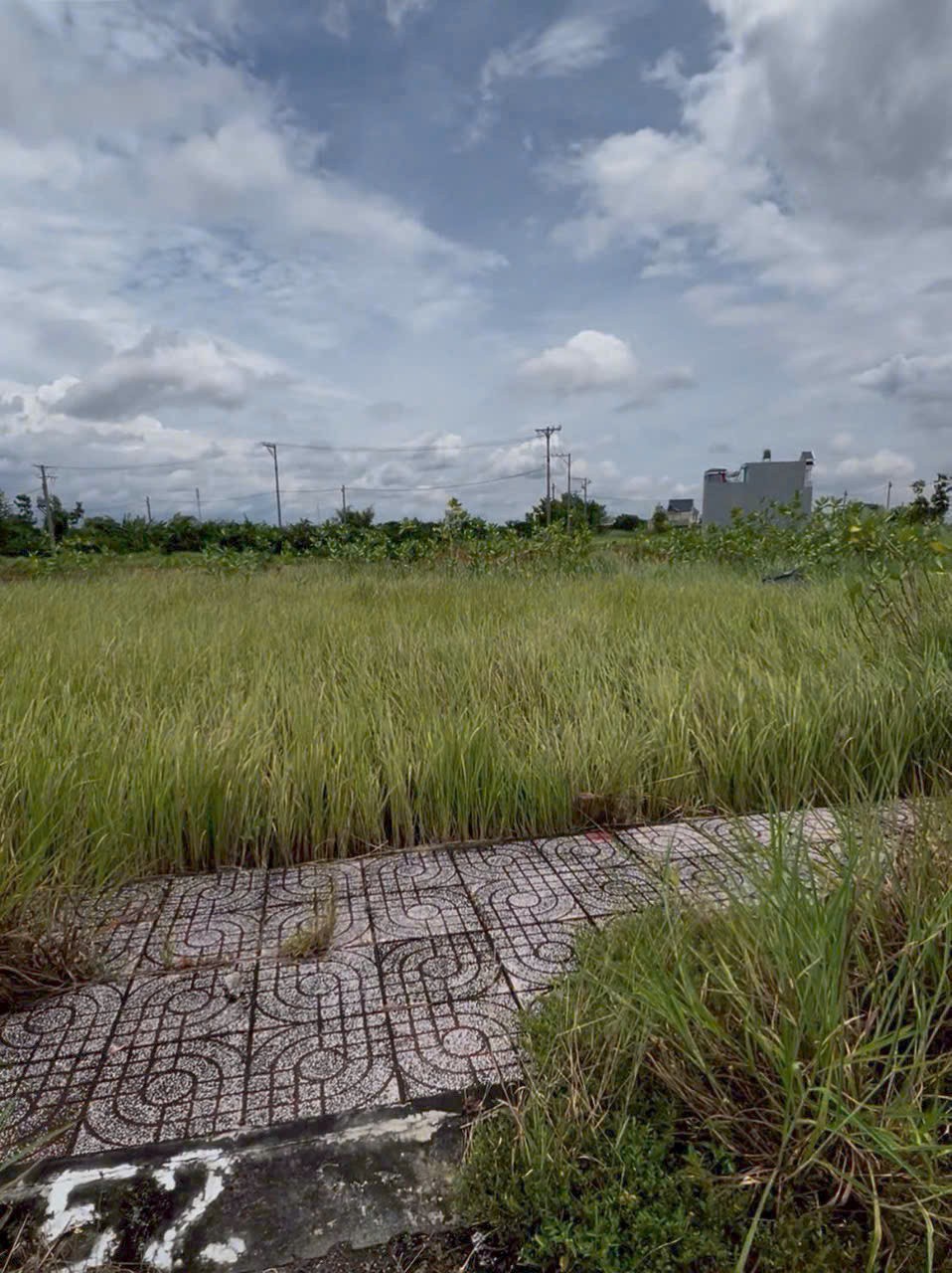 Nền đất ngộp giá rẻ 81m2 kdc Tân Lân 5 Hiệp bán lỗ 650tr 3