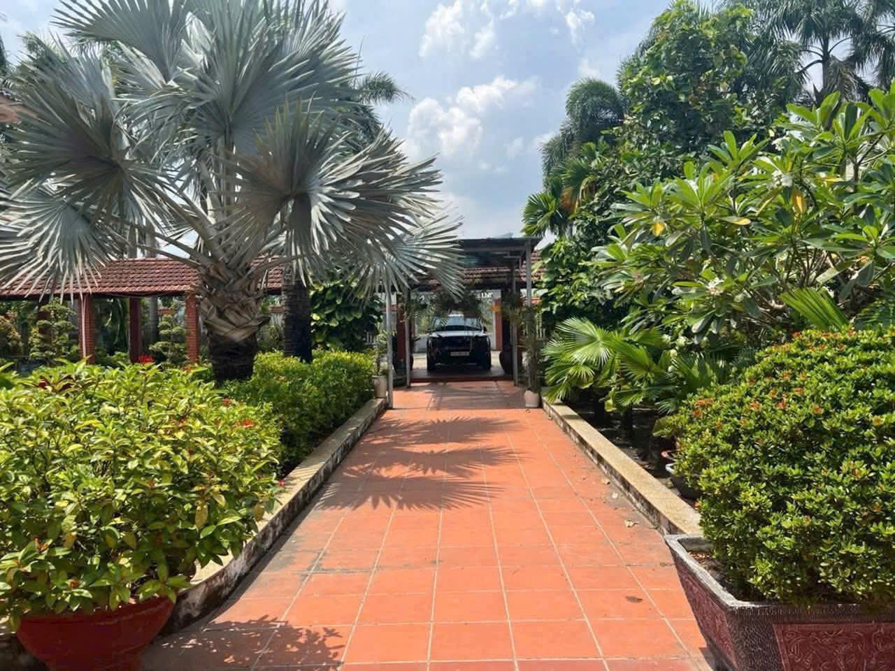 SIÊU PHẨM BIỆT THỰ VƯỜN (42x56) BÌNH MỸ, CỦ CHI SÁT VÁCH HÓC MÔN – GIÁ SIÊU TỐT 2