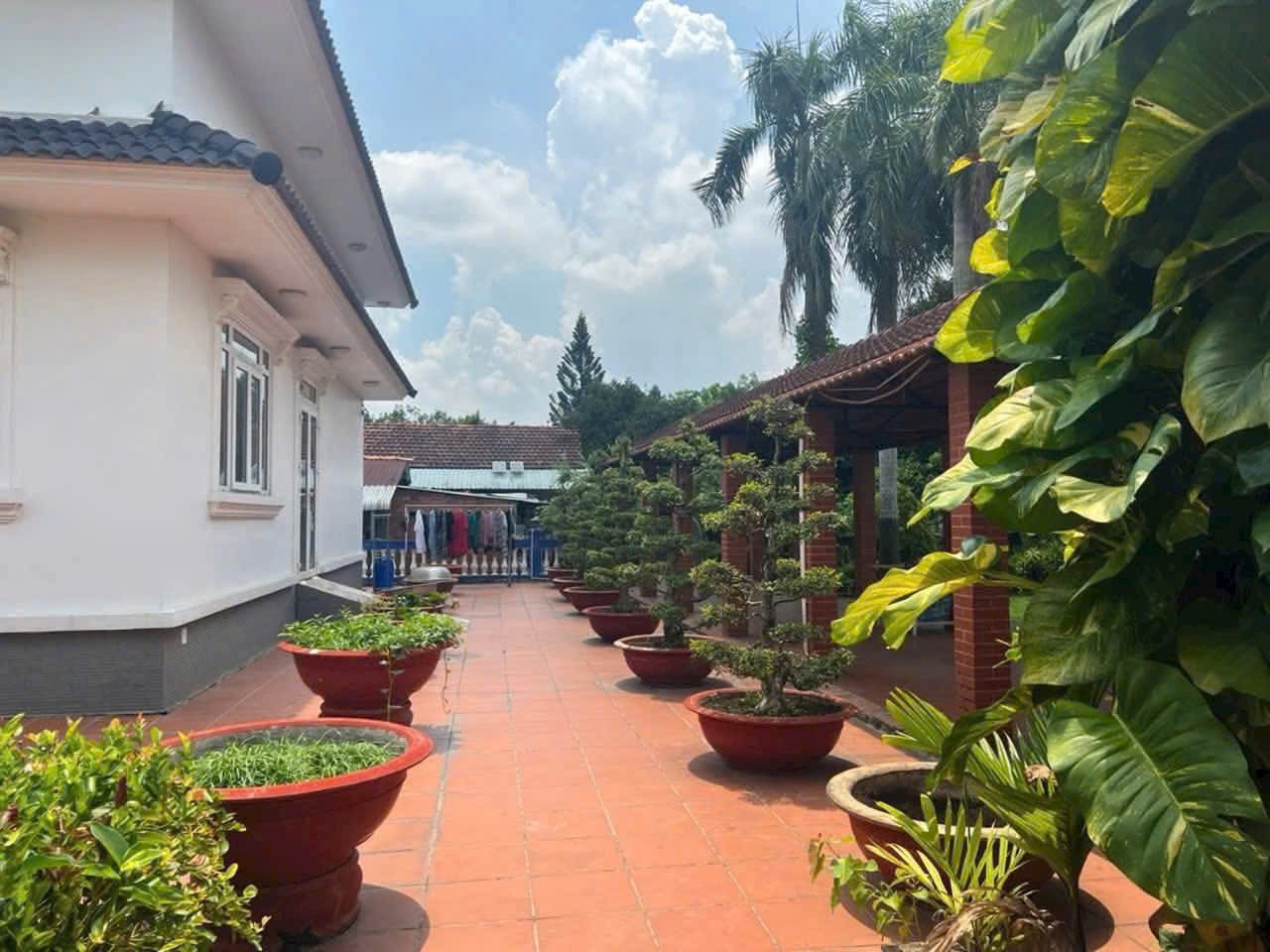 SIÊU PHẨM BIỆT THỰ VƯỜN (42x56) BÌNH MỸ, CỦ CHI SÁT VÁCH HÓC MÔN – GIÁ SIÊU TỐT 3