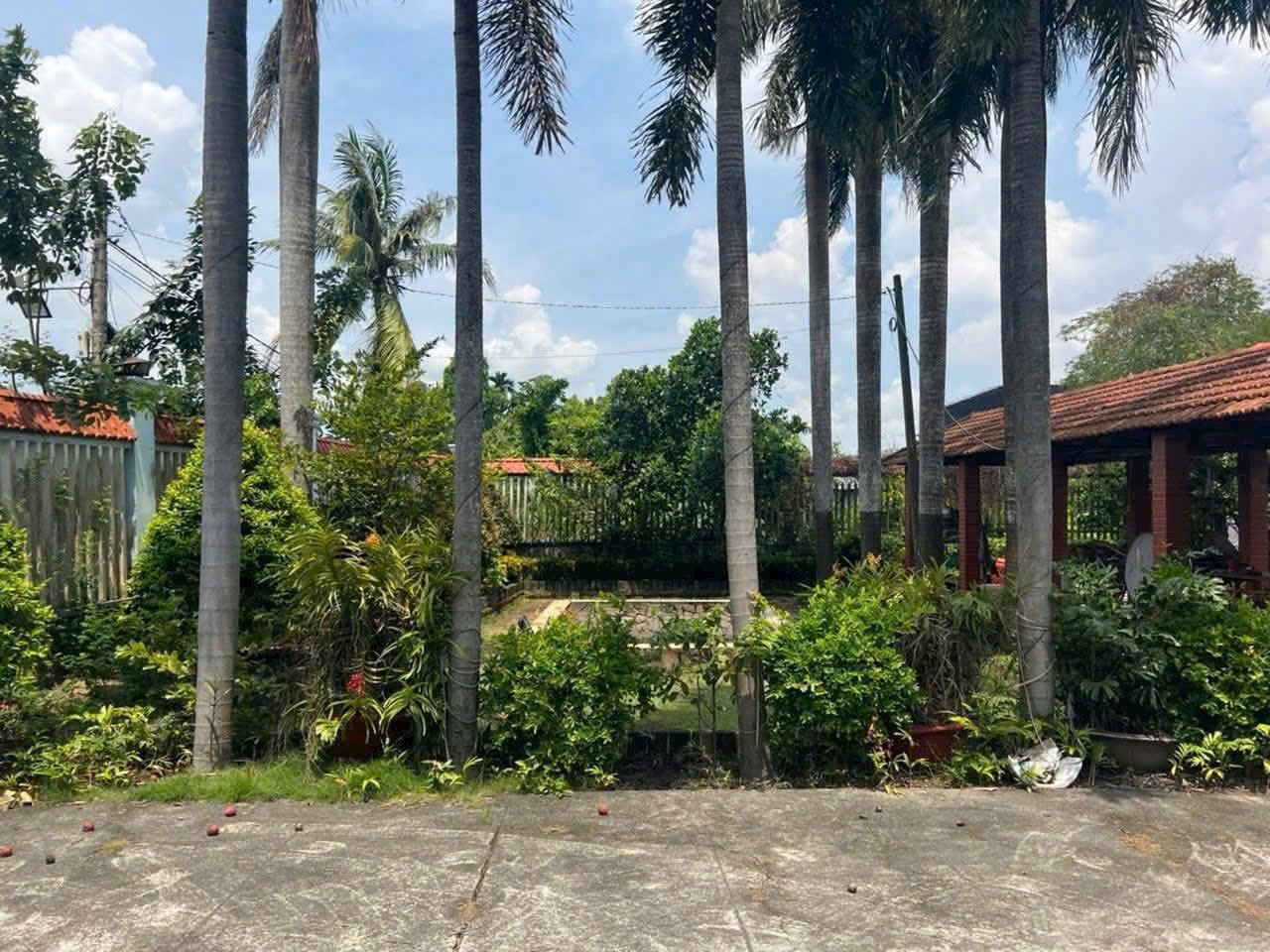 SIÊU PHẨM BIỆT THỰ VƯỜN (42x56) BÌNH MỸ, CỦ CHI SÁT VÁCH HÓC MÔN – GIÁ SIÊU TỐT 4