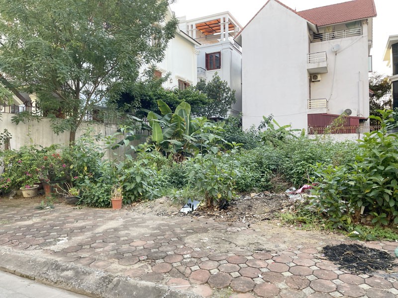 Cần bán 247m2 đất biệt thự 31ha Trâu Quỳ, Gia Lâm. Đường 13m, view hồ điều hòa 6