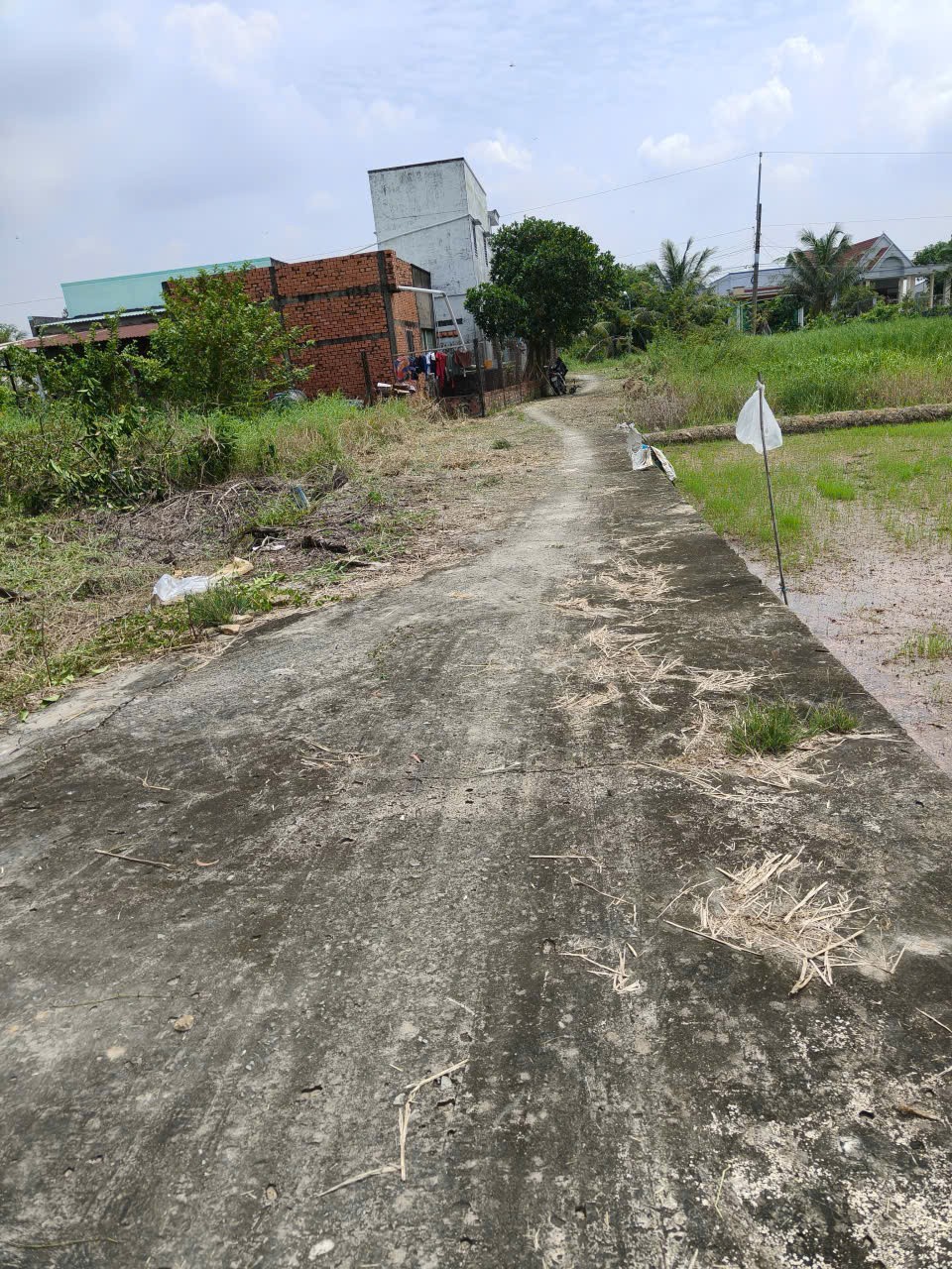 Đất nền thổ cư 104m2 mt xe hơi xã Tân Lân ngon bổ rẻ 550tr 5