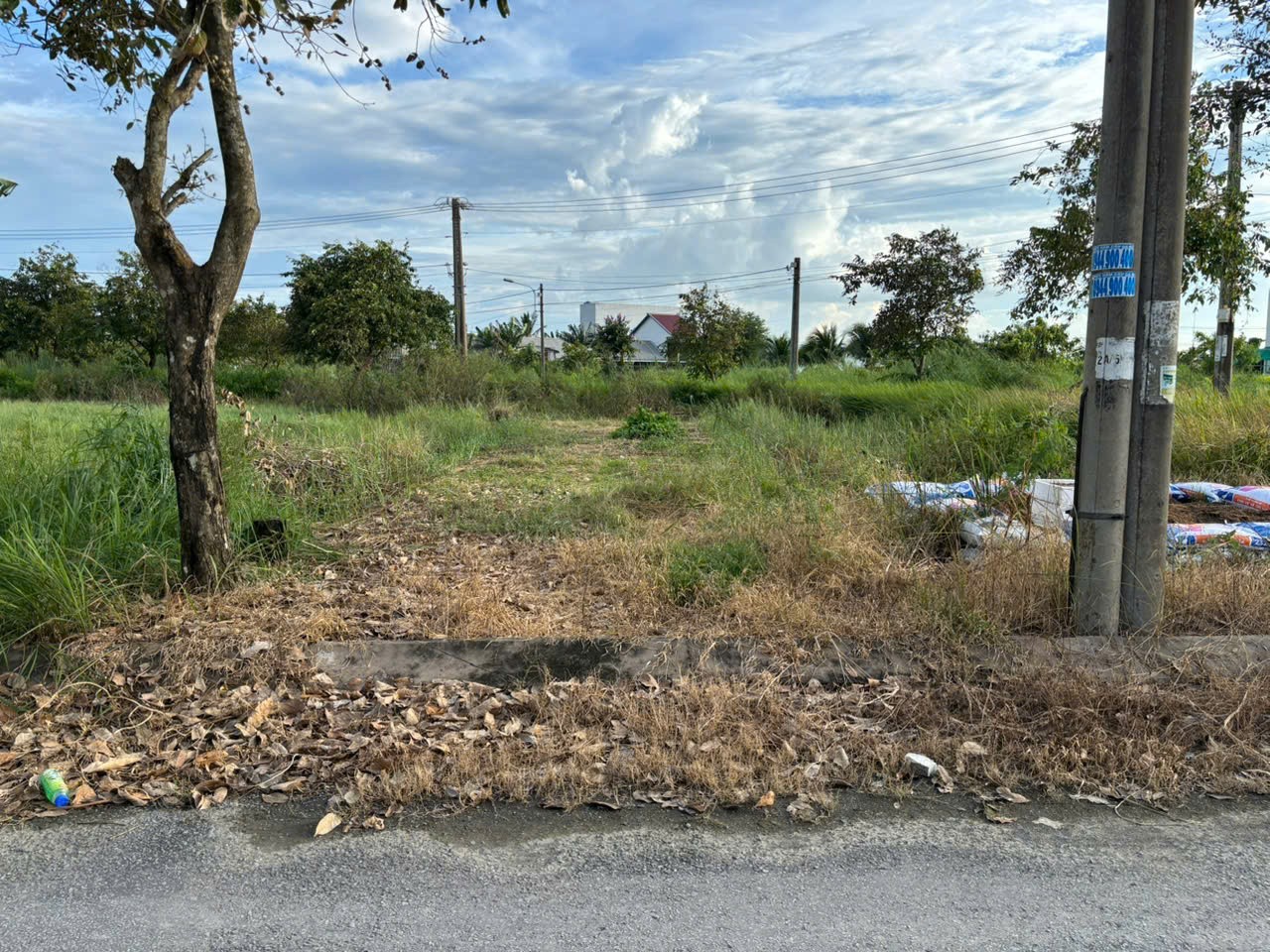 Đất nền tđc Phước Đông 100m2 Chủ cần bán gấp giá rẻ 880tr 2