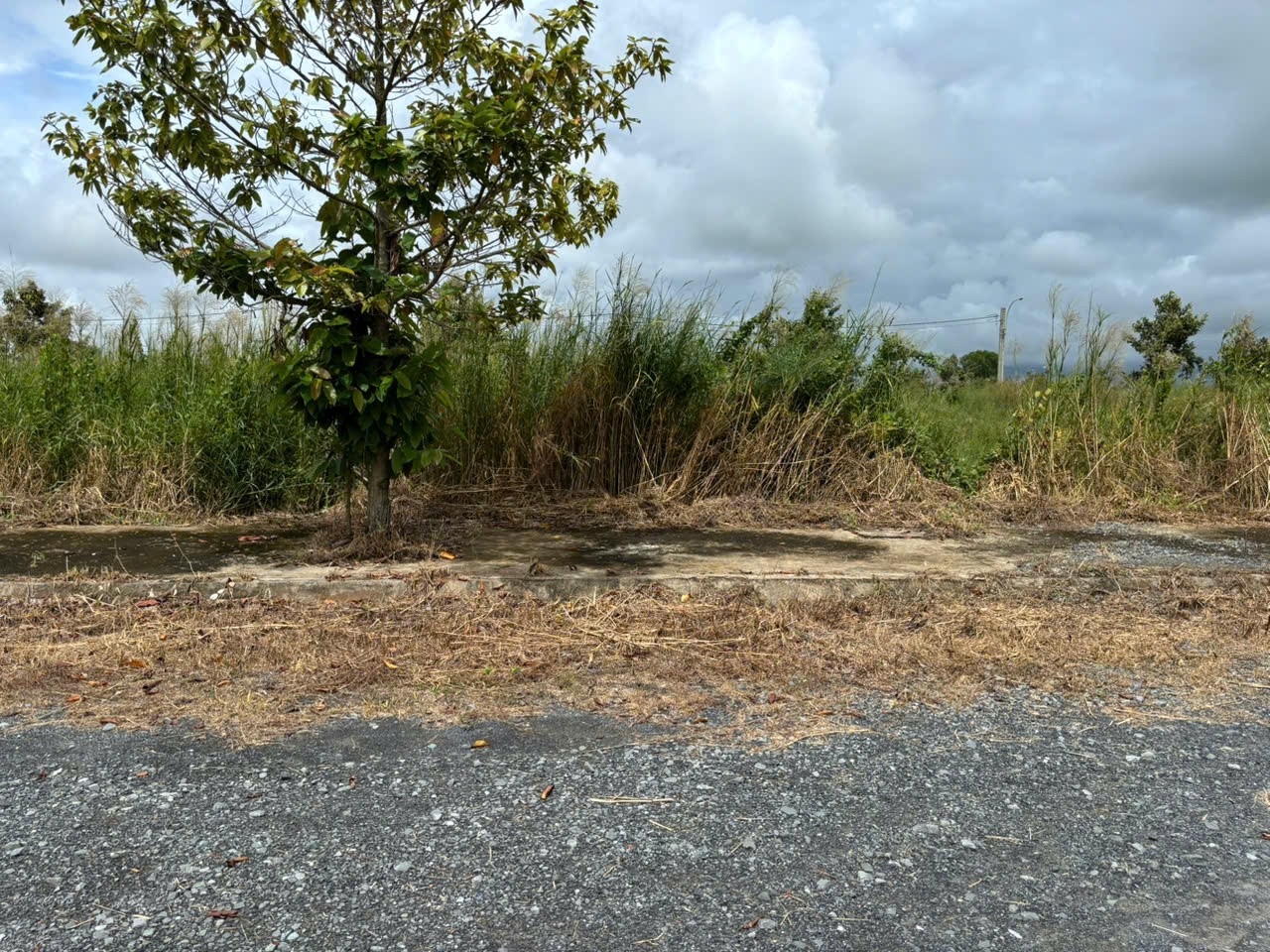 Đất nền kdc Phước Đông 100m2 cần bán gấp giá xã lỗ 830tr 3