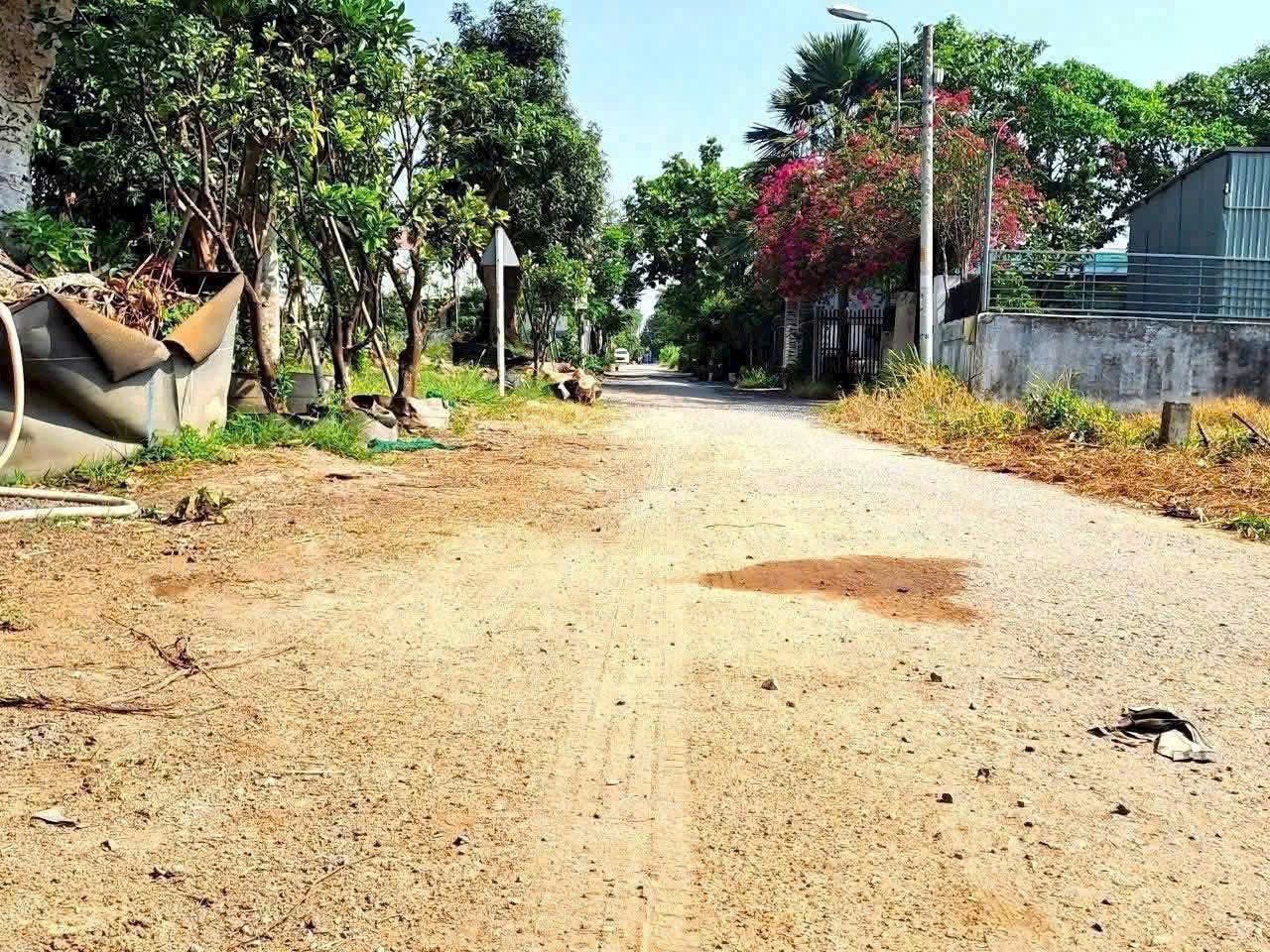 SIÊU PHẨM ĐẤT (35x80) MẶT TIỀN SÔNG VIEW CỰC ĐẸP – NHỊ BÌNH, HÓC MÔN – GIÁ 30 TỶ TL 3