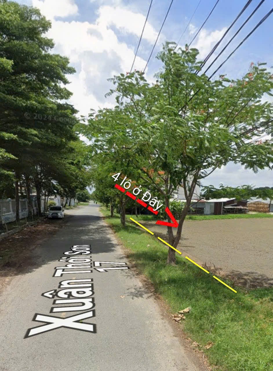 CCG BÁN 4 LÔ ĐẤT LÚA MẶT TIỀN NHỰA – ĐƯỜNG XUÂN THỚI SƠN 17, HÓC MÔN 2