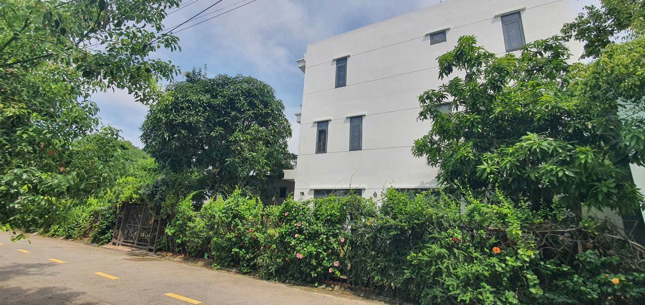 CĂN NHÀ VƯỜN (8.4x42) LÔ GÓC 2MT BỜ KÈ THẠNH XUÂN 52 – CHỈ NHỈNH 10 TỶ 3