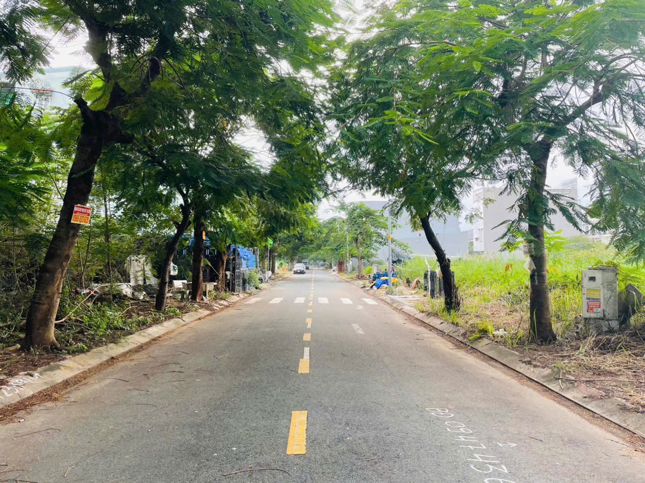 Cần bán Đất Phường Cát Lái, Quận 2, Giá 71 Triệu/m²