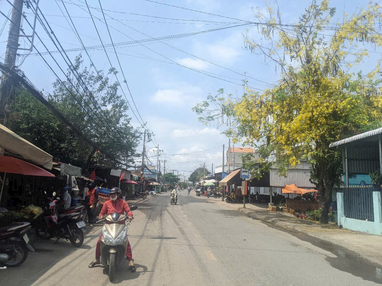 Cần bán Đất Phường Long Thạnh Mỹ, Quận 9, Diện tích 141m², Giá 11 Tỷ 2